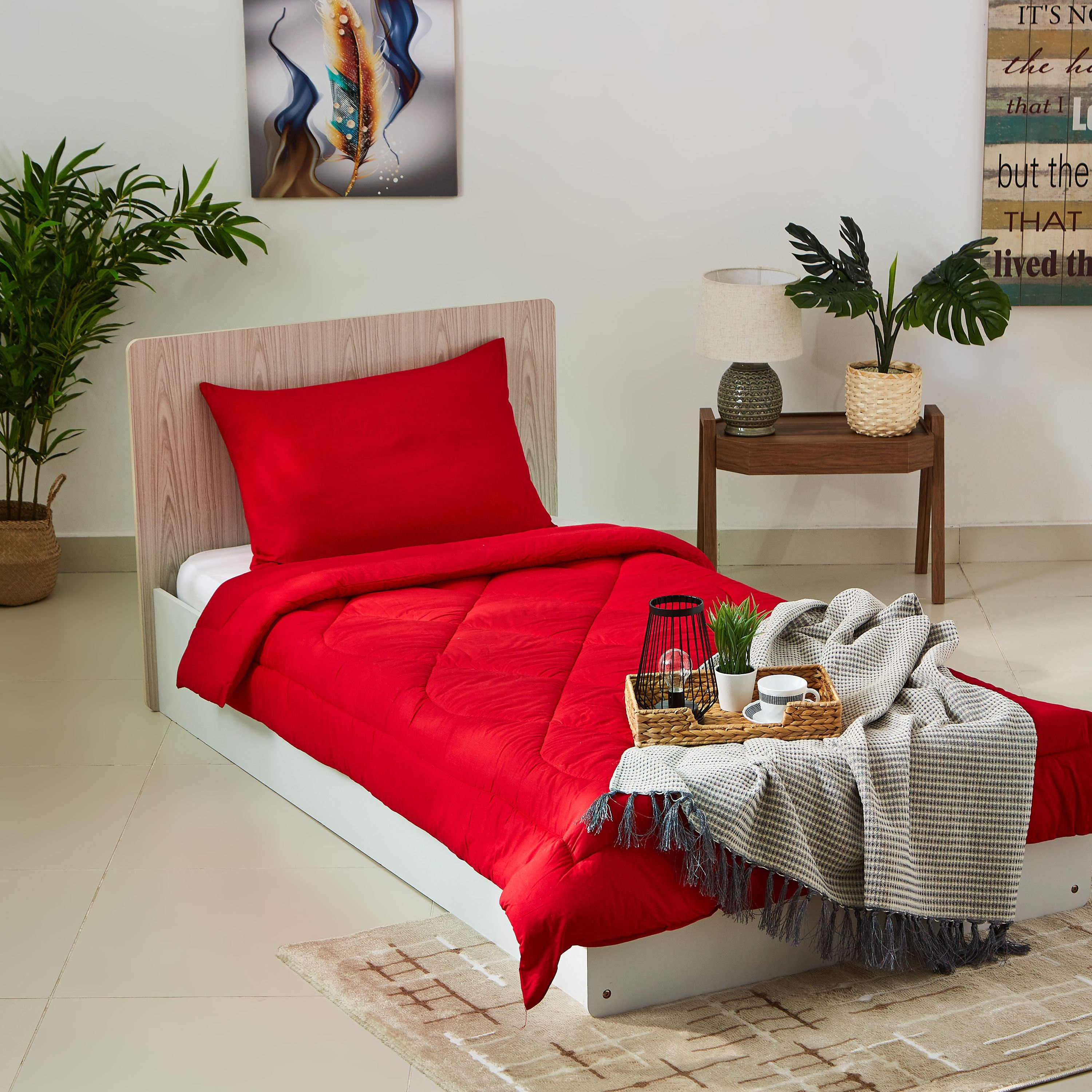 Wellington 2-Piece Solid Cotton Single Comforter Set - 135x220 cm-PROMO_HB_AE_B1G1_250925-image-5