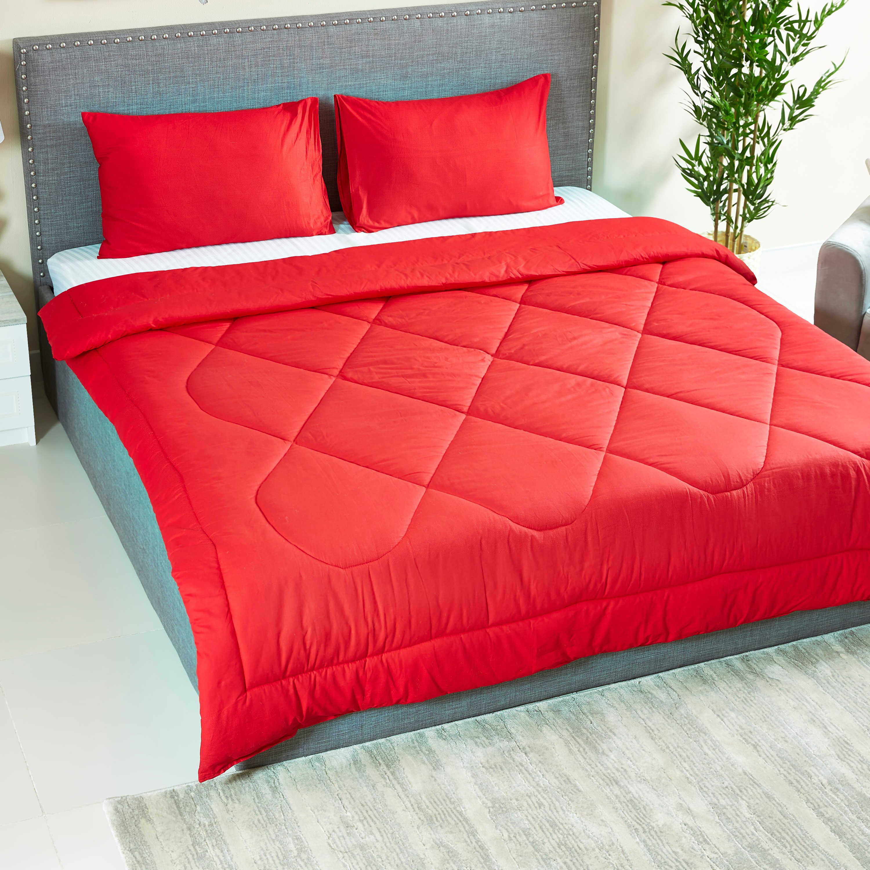 طقم لحاف كوين قطن سادة 3 قطع من ويلنجتون - 200x240 سم -hbxhomeware-hbxdecorandfurnishings-image-2