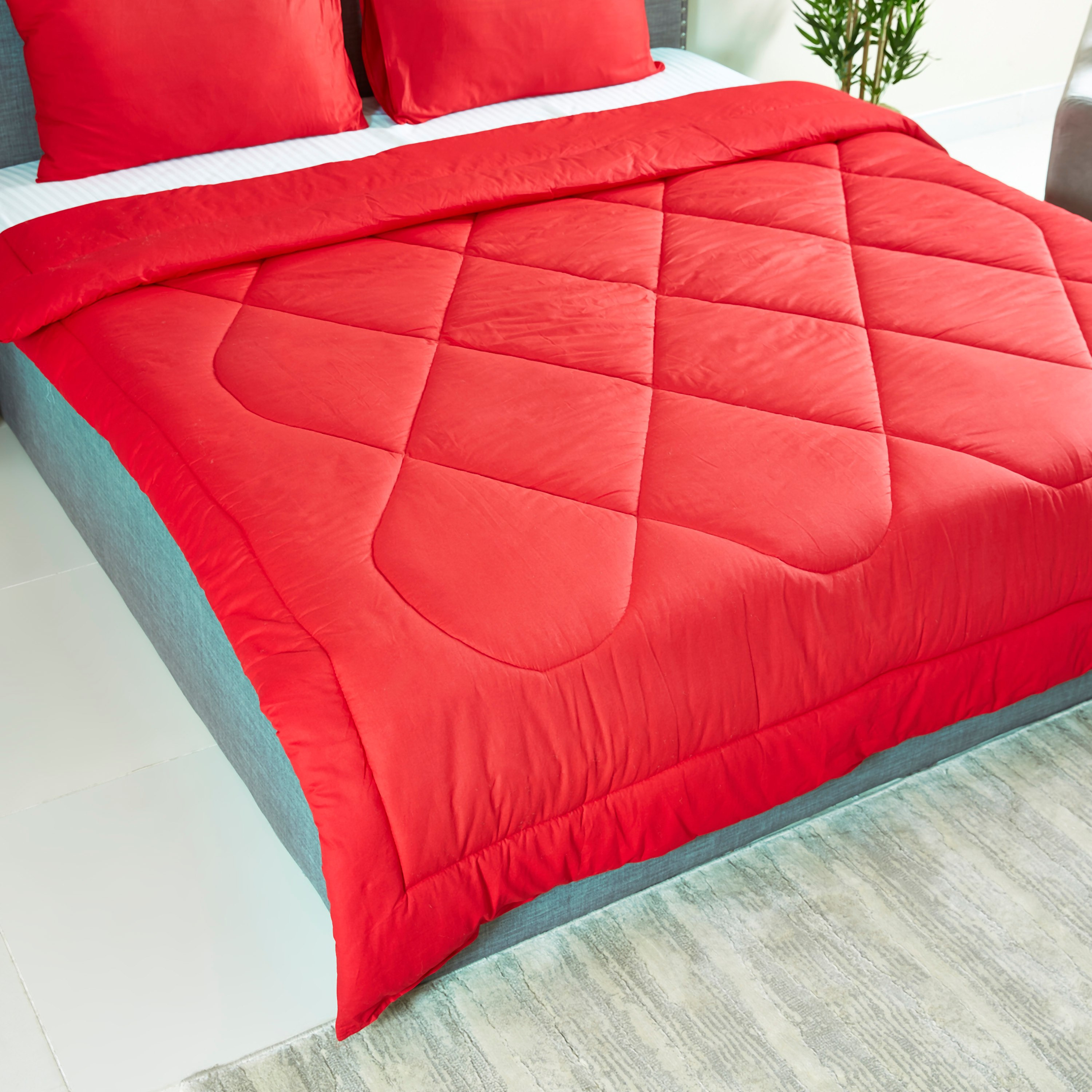 طقم لحاف كوين قطن سادة 3 قطع من ويلنجتون - 200x240 سم -hbxhomeware-hbxdecorandfurnishings-image-3
