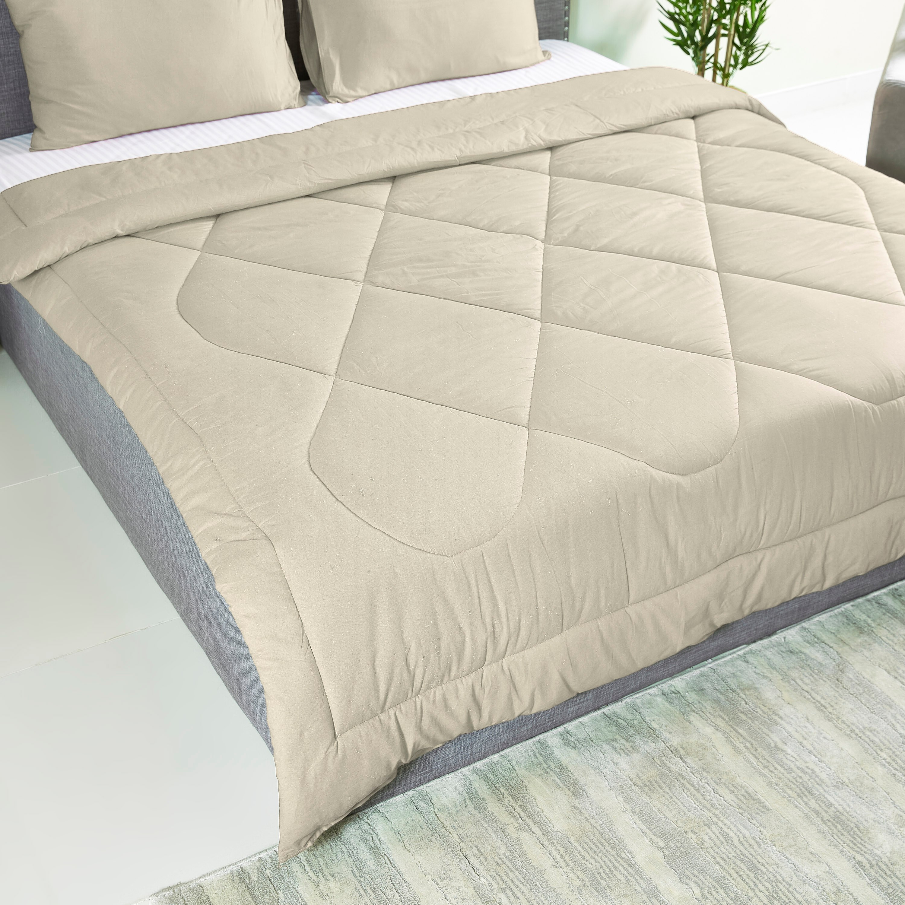 طقم لحاف كوين قطني سادة 3 قطع من ويلنجتون - 200x240 سم-PROMO_HB_AE_B1G1_250925-image-3