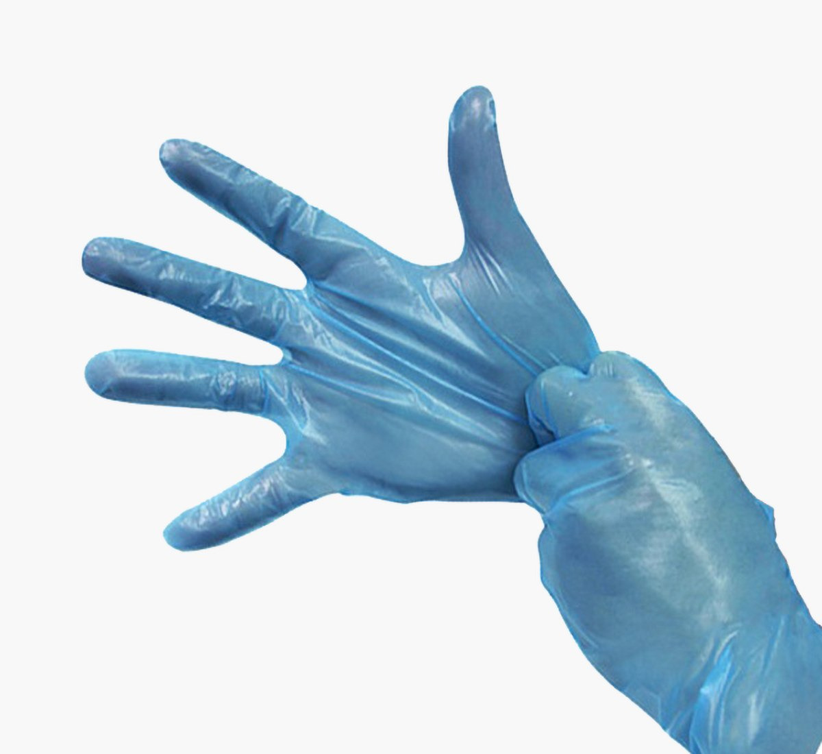 Disposable Vinyl Glove - Set of 100-hbxdecorandfurnishings-homeaccessories-novelties-image-2