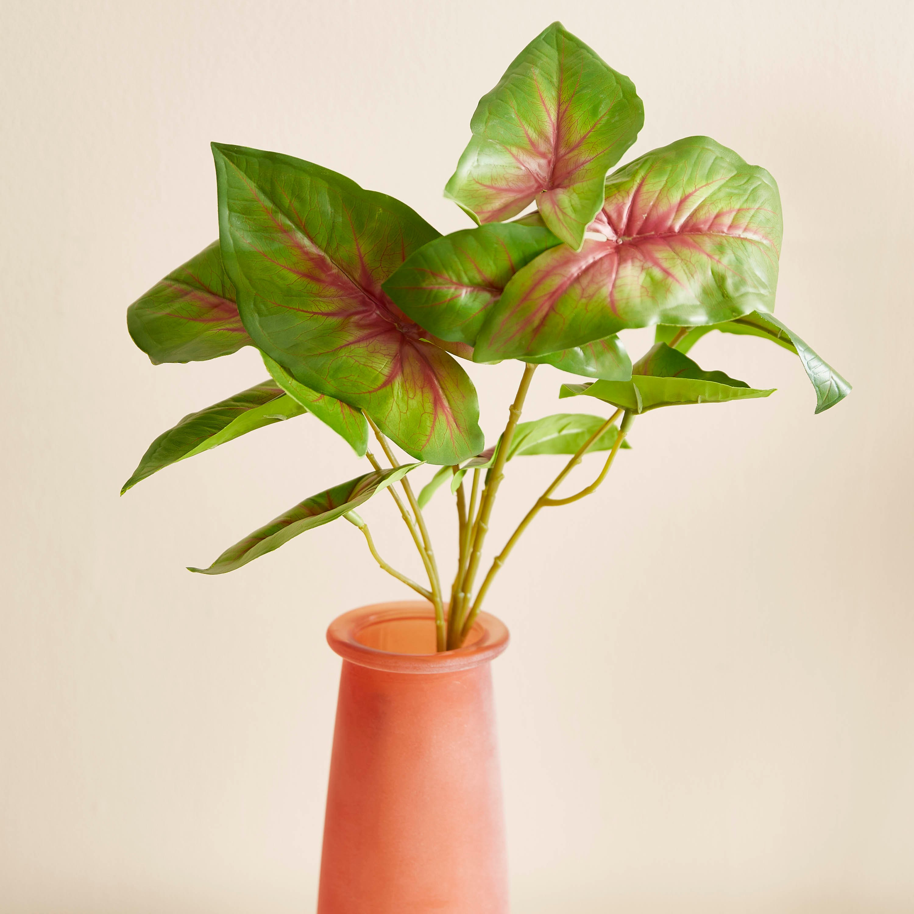 نبتة كالاديوم صناعية من ليدا - 68 سم-hbxdecorandfurnishings-homeaccessories-artificialflowersandplants-image-1