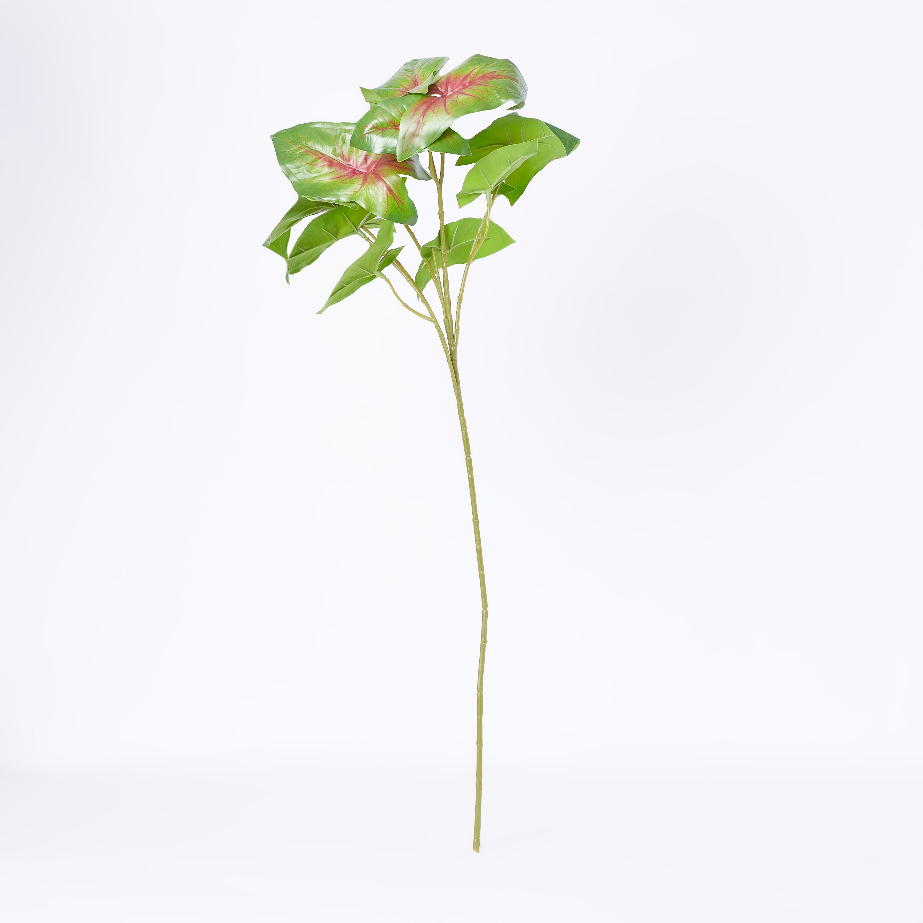 نبتة كالاديوم صناعية من ليدا - 68 سم-hbxdecorandfurnishings-homeaccessories-artificialflowersandplants-image-4