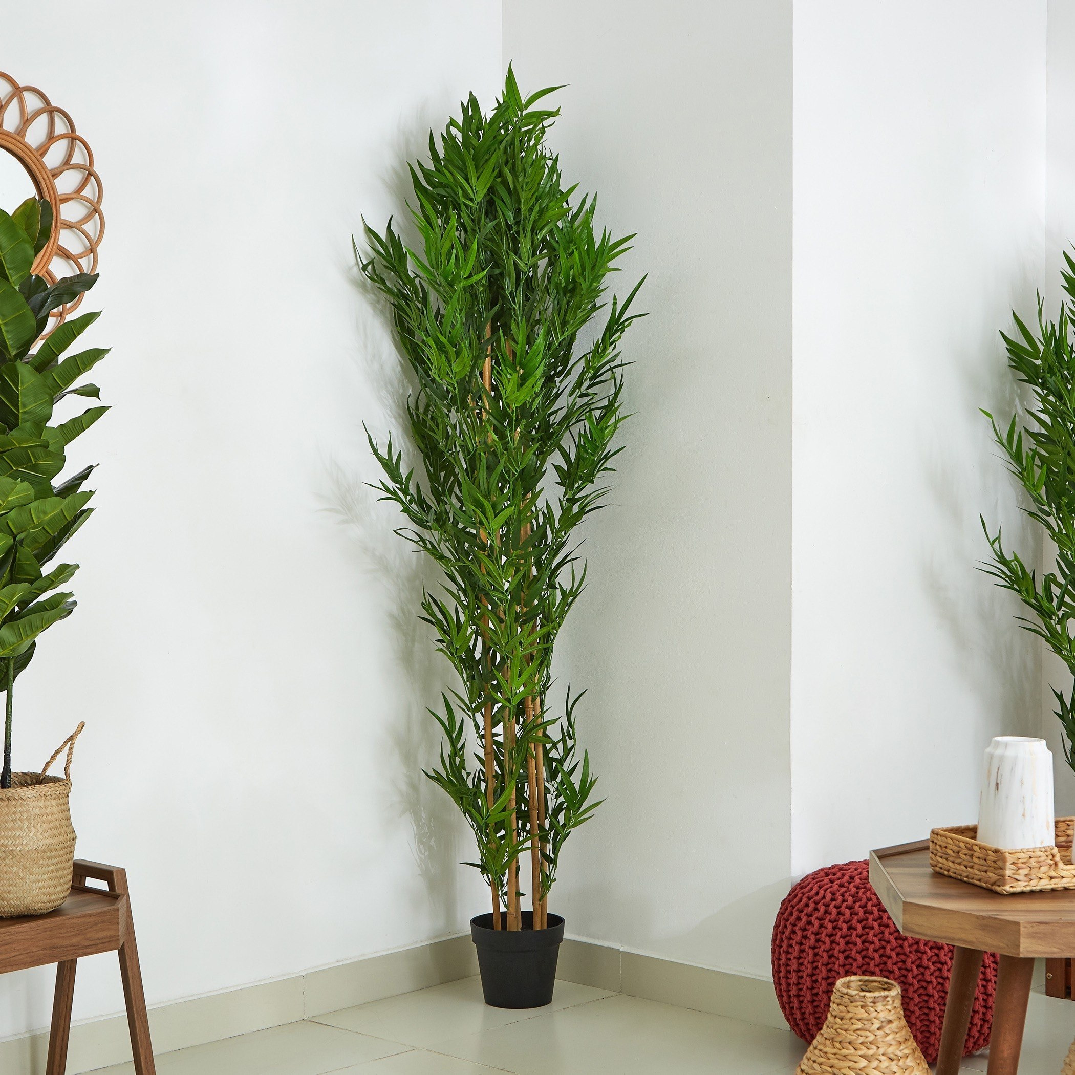 شجرة خيرزان بإصيص من كيارا - 185 سم-hbxdecorandfurnishings-homeaccessories-artificialflowersandplants-image-1