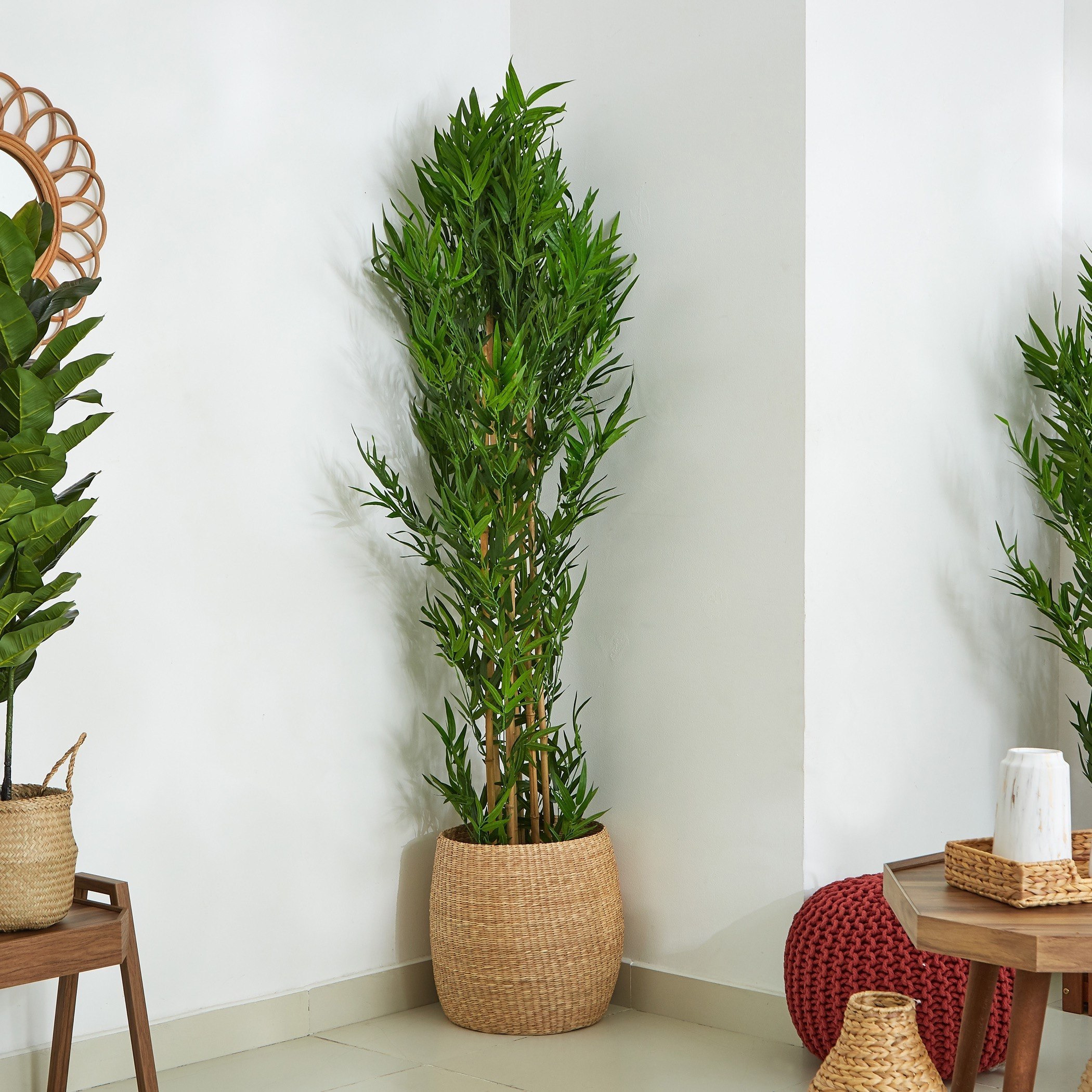 شجرة خيرزان بإصيص من كيارا - 185 سم-hbxdecorandfurnishings-homeaccessories-artificialflowersandplants-image-2