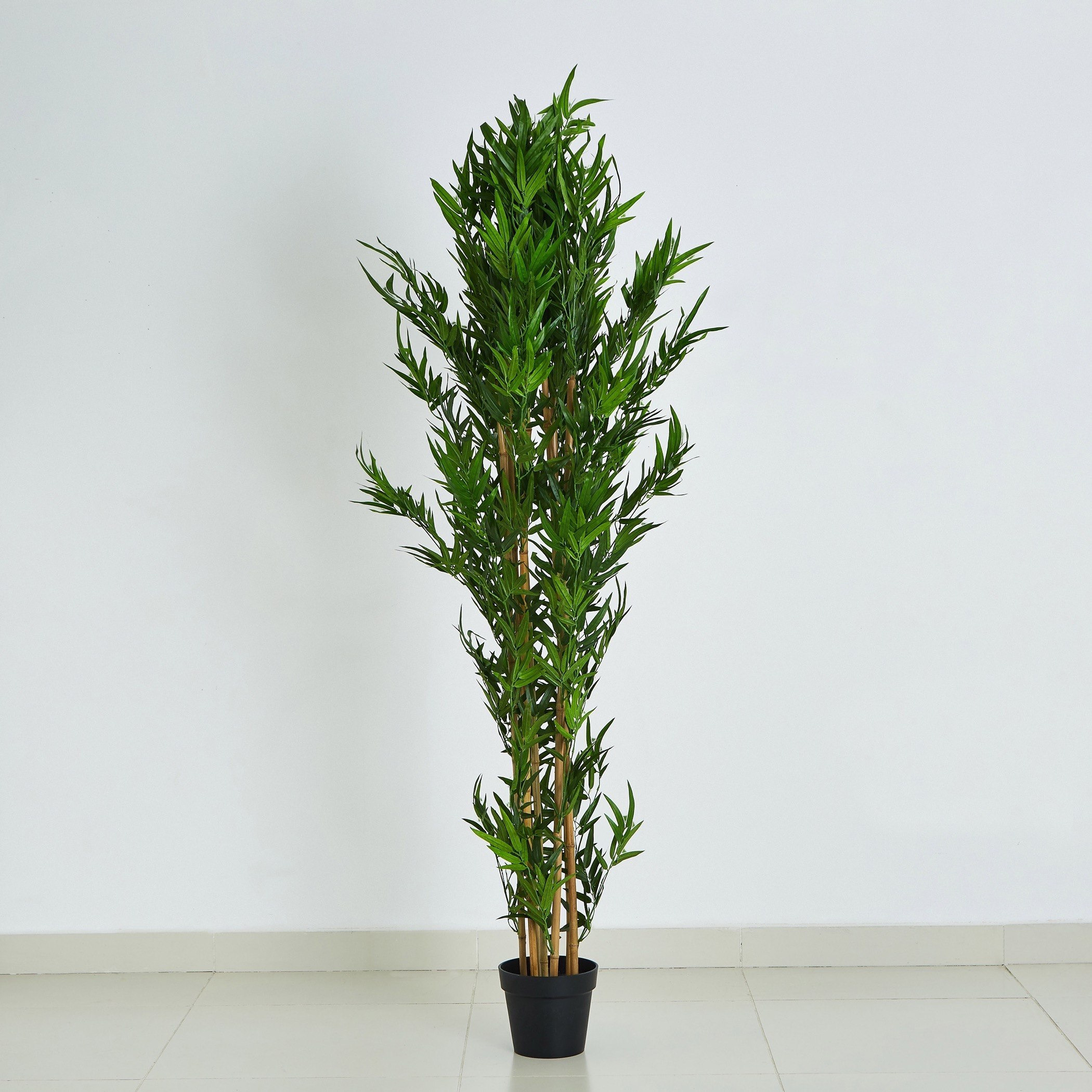 شجرة خيرزان بإصيص من كيارا - 185 سم-hbxdecorandfurnishings-homeaccessories-artificialflowersandplants-image-5