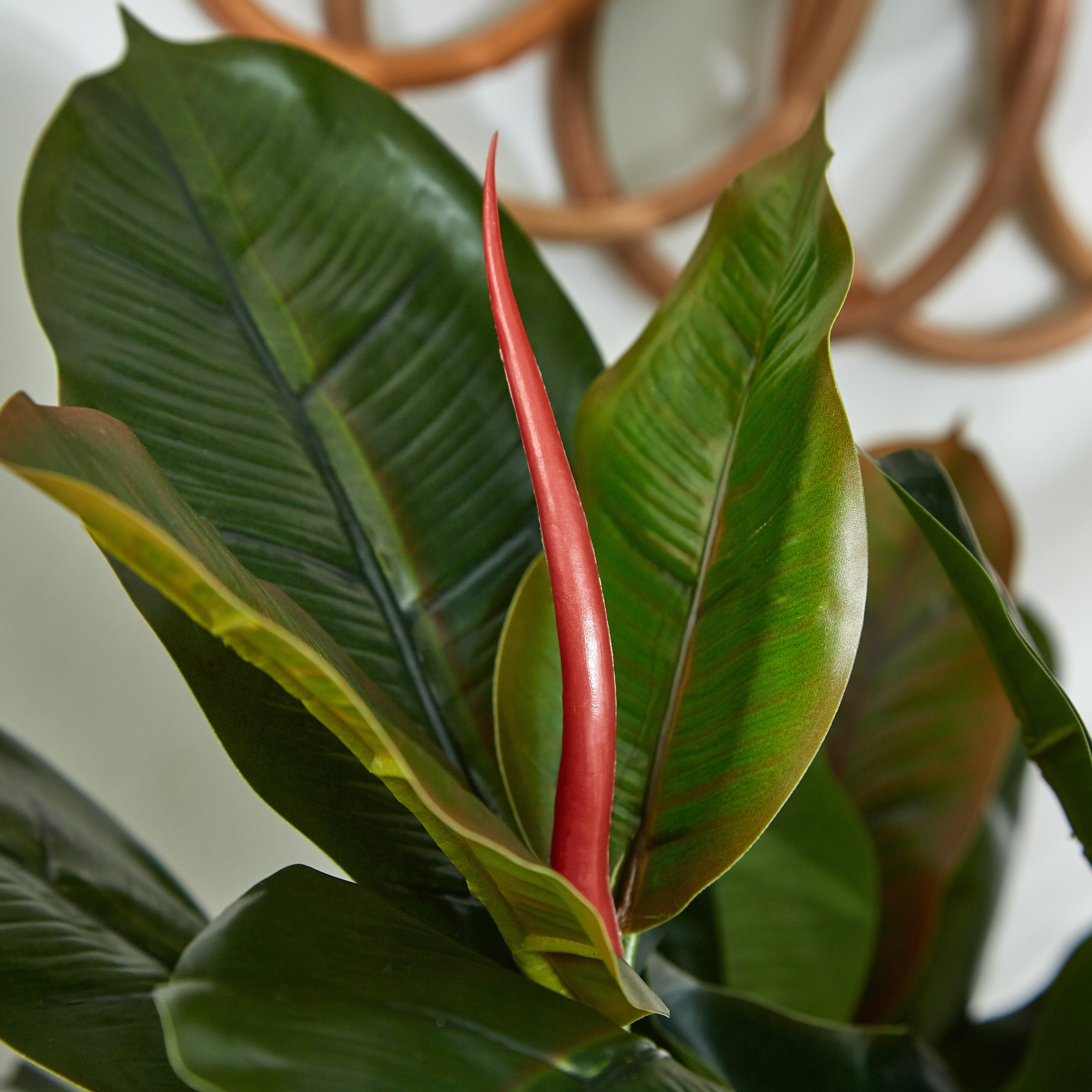نبات في إصيص من سيارا - 130 سم-hbxdecorandfurnishings-homeaccessories-artificialflowersandplants-image-3