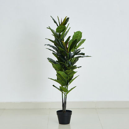Cyara Ficus Elastica Tree with Pot - 130 cms