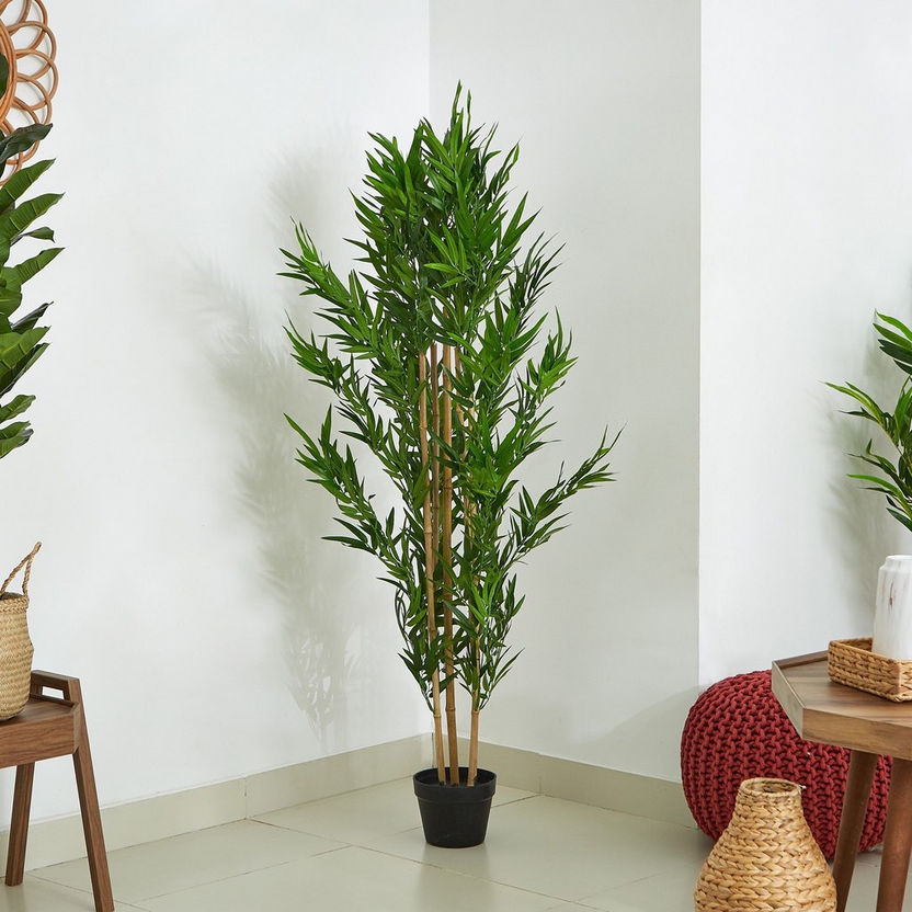 Cyara Bamboo Tree with Pot - 155 cm-Artificial Flowers and Plants-image-0
