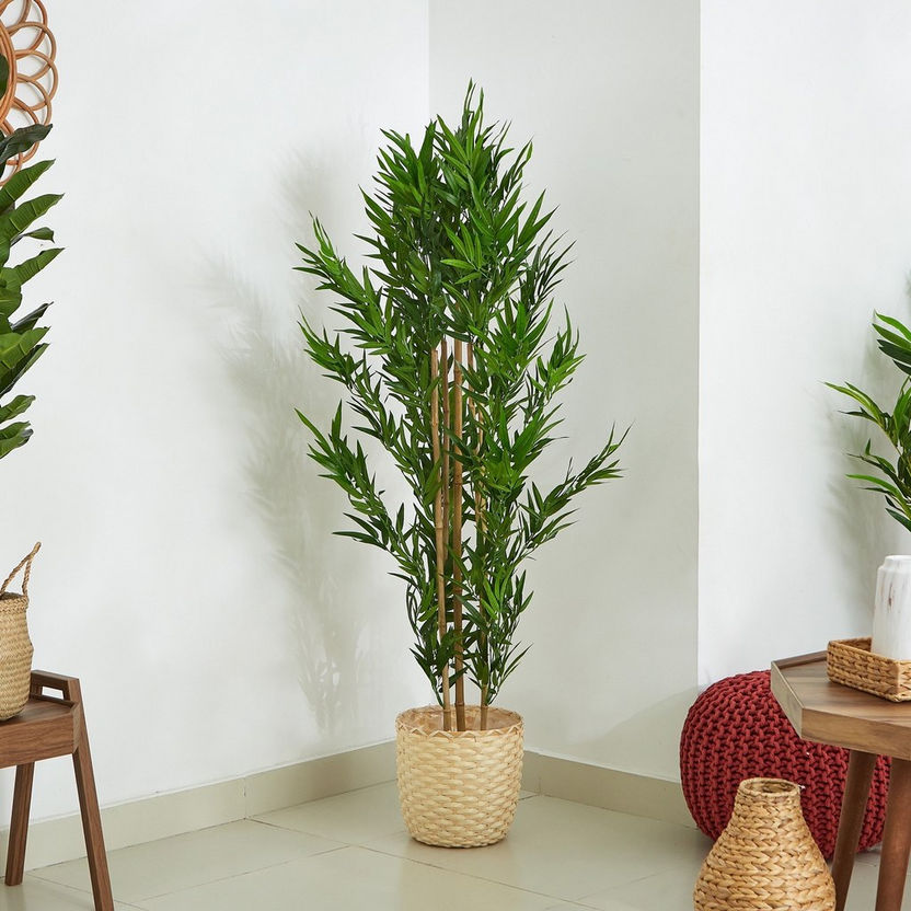 Cyara Bamboo Tree with Pot - 155 cm-Artificial Flowers and Plants-image-1