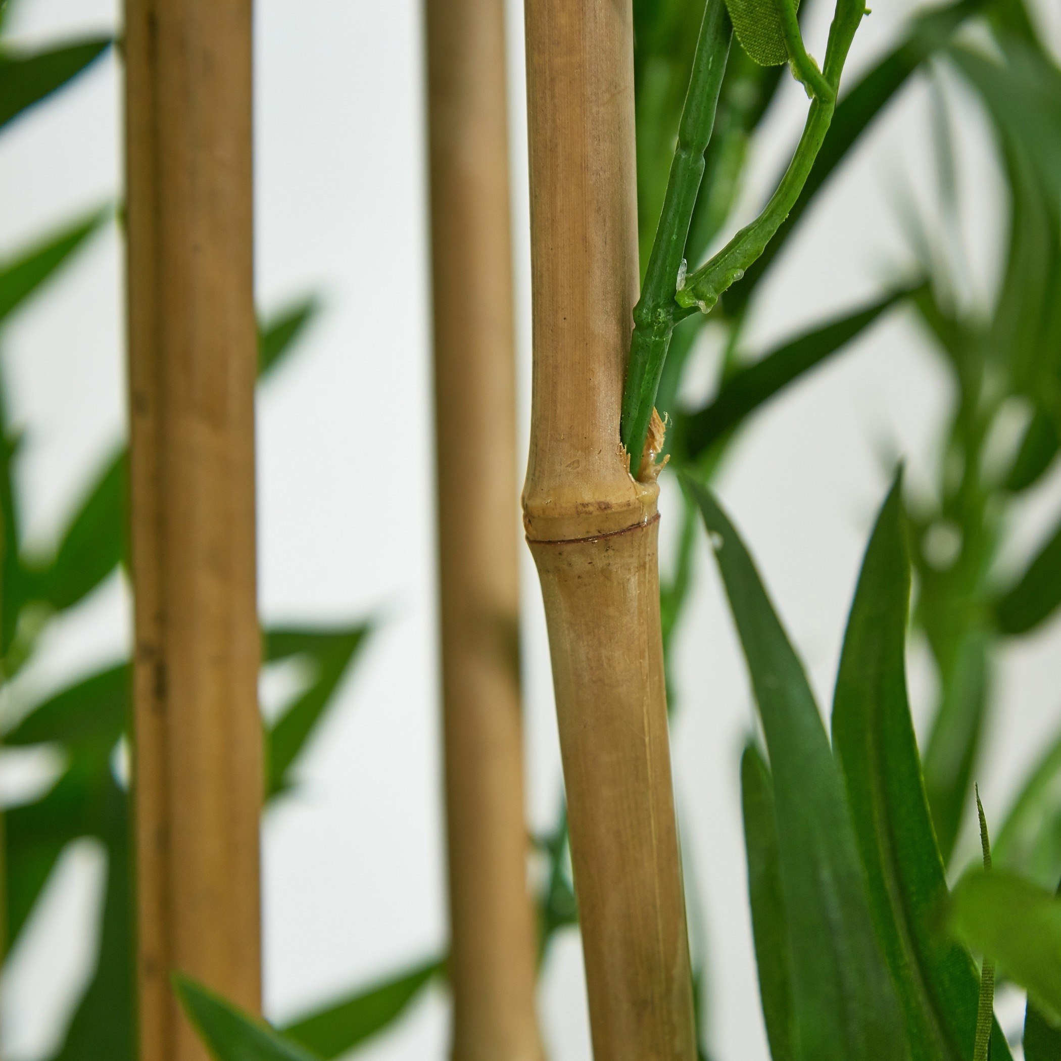 Cyara Bamboo Tree with Pot - 155 cm-hbxdecorandfurnishings-homeaccessories-artificialflowersandplants-image-4