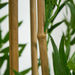 Cyara Bamboo Tree with Pot - 155 cm-Artificial Flowers and Plants-thumbnail-3