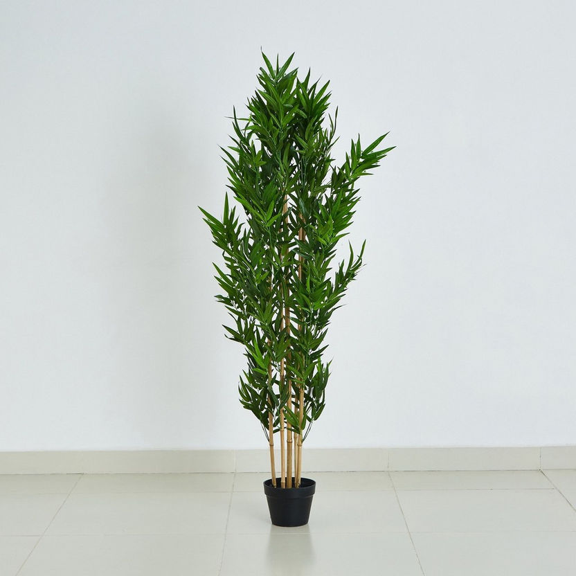 Cyara Bamboo Tree with Pot - 155 cm-Artificial Flowers and Plants-image-5