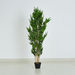 Cyara Bamboo Tree with Pot - 155 cm-Artificial Flowers and Plants-thumbnail-5