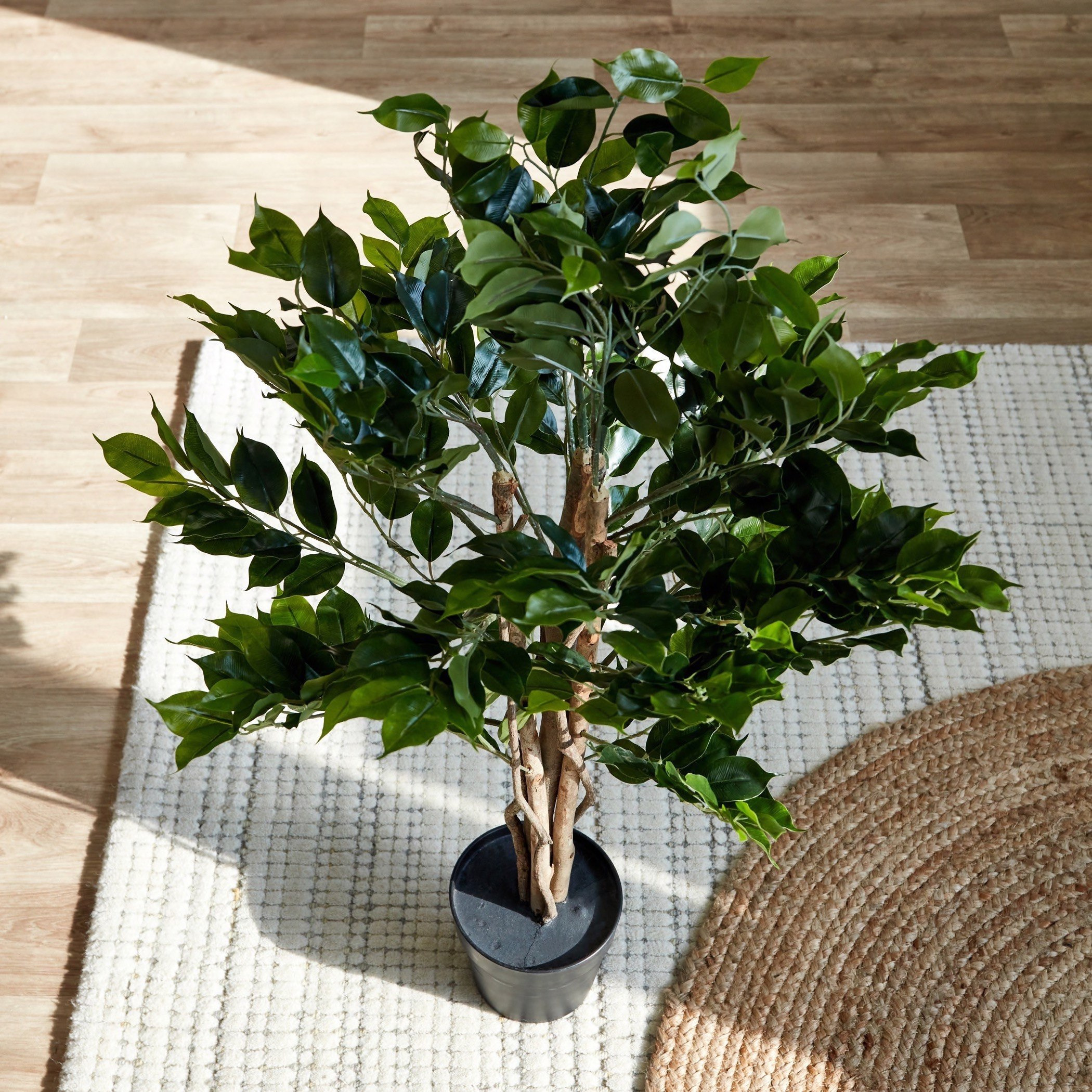 Cyara Wooden Trunk Ficus Tree with Pot - 90 cm-hbxdecorandfurnishings-homeaccessories-artificialflowersandplants-image-2
