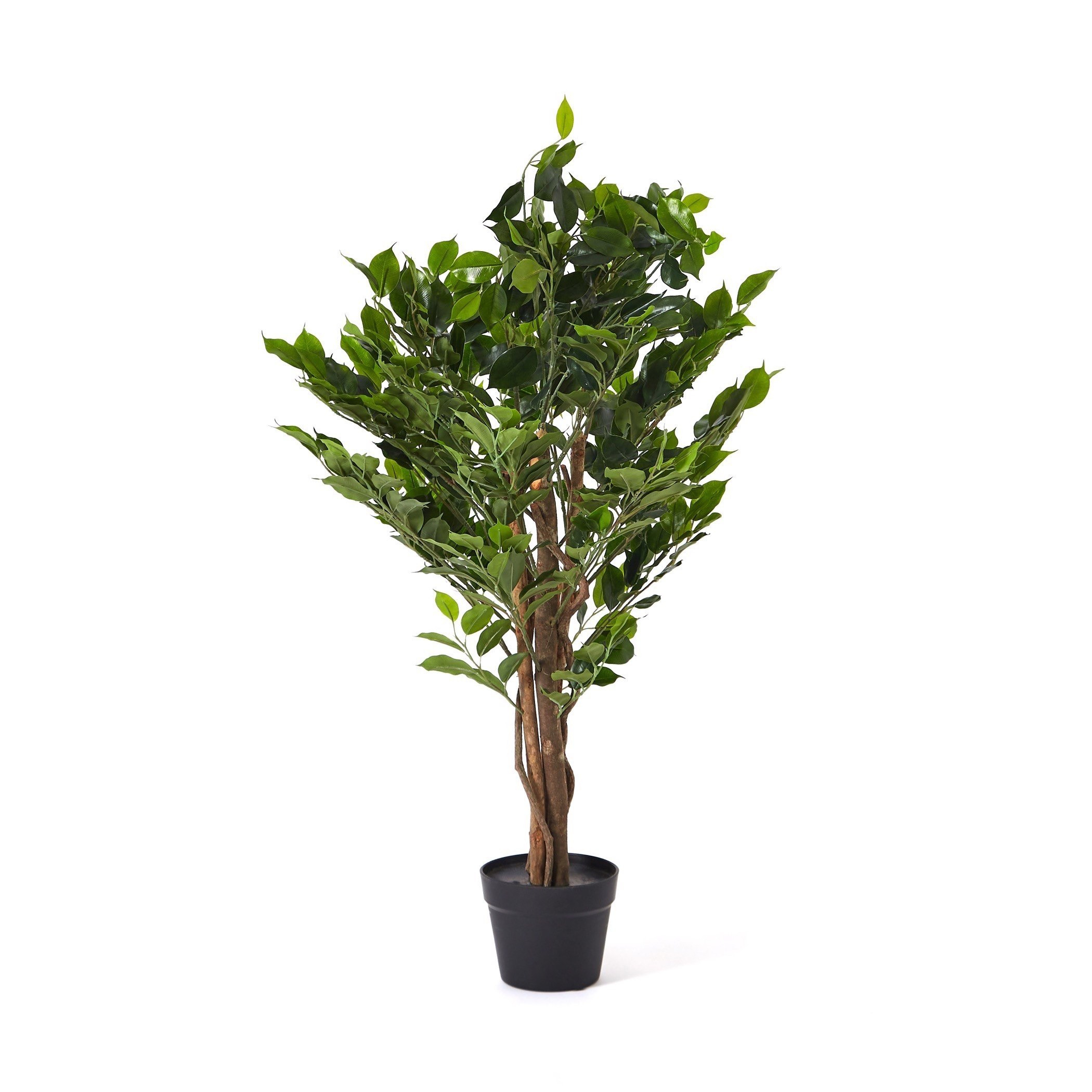 Cyara Wooden Trunk Ficus Tree with Pot - 90 cm-hbxdecorandfurnishings-homeaccessories-artificialflowersandplants-image-7