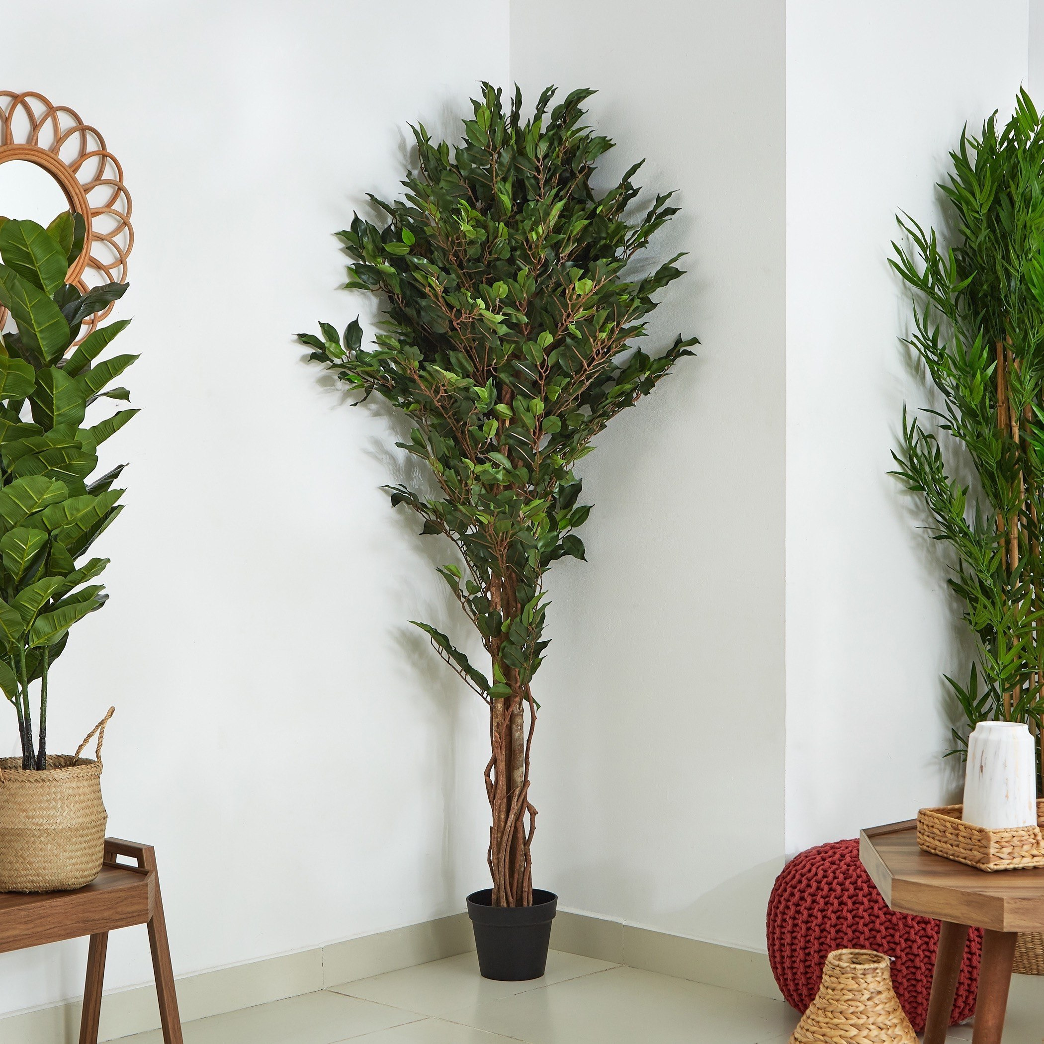 شجرة فيكس خشبية مع أصيص من سيارا - 180 سم-hbxdecorandfurnishings-homeaccessories-artificialflowersandplants-image-1