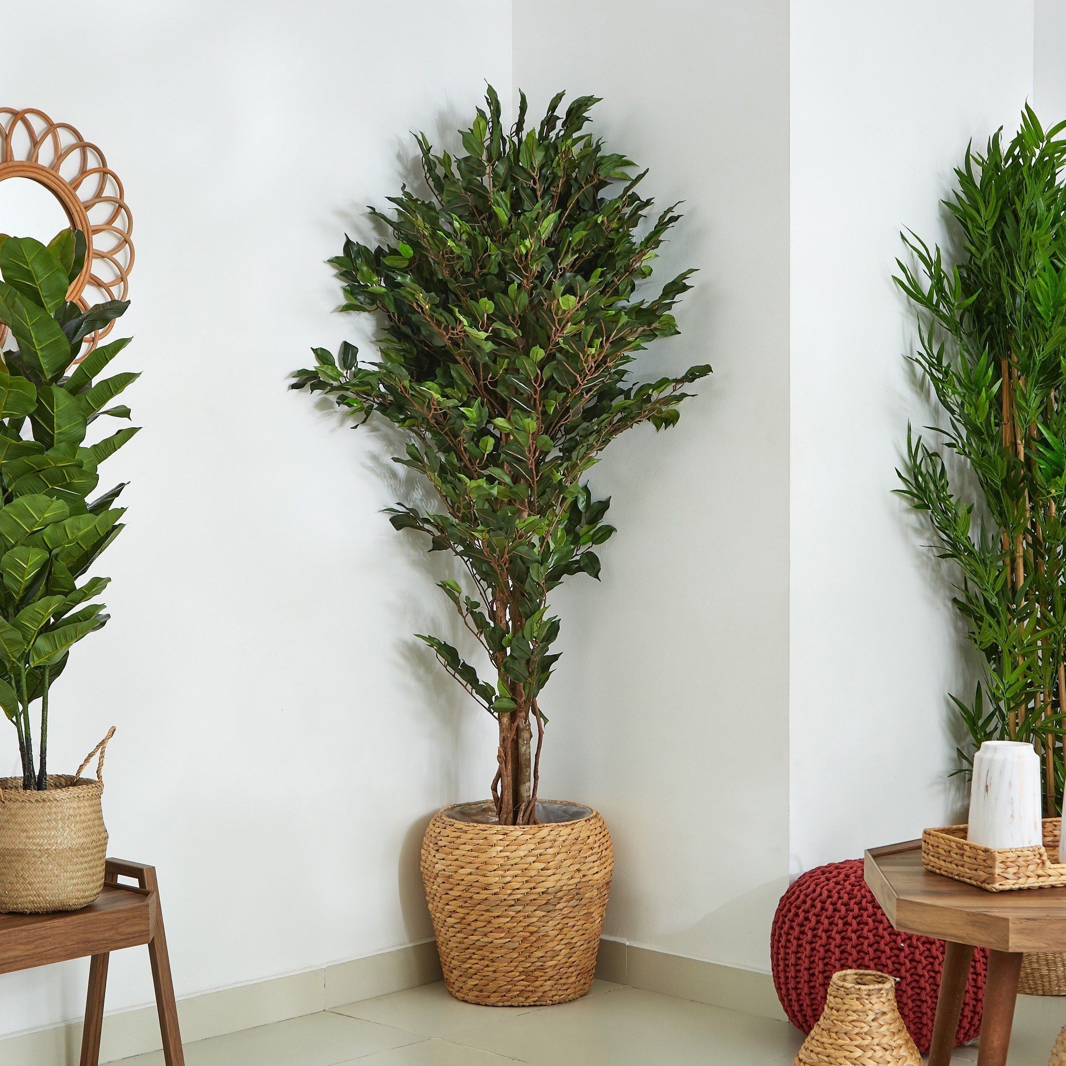 شجرة فيكس خشبية مع أصيص من سيارا - 180 سم-hbxdecorandfurnishings-homeaccessories-artificialflowersandplants-image-2