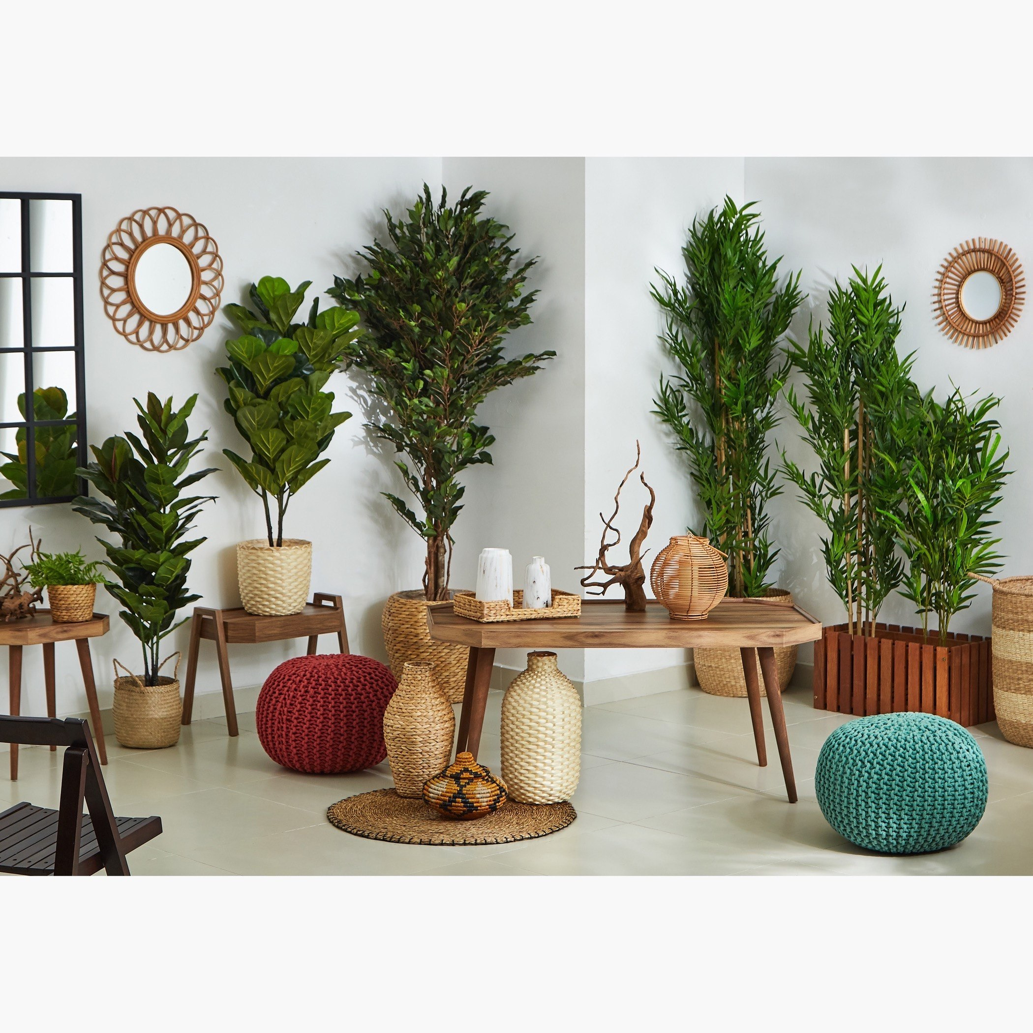 شجرة فيكس خشبية مع أصيص من سيارا - 180 سم-hbxdecorandfurnishings-homeaccessories-artificialflowersandplants-image-5