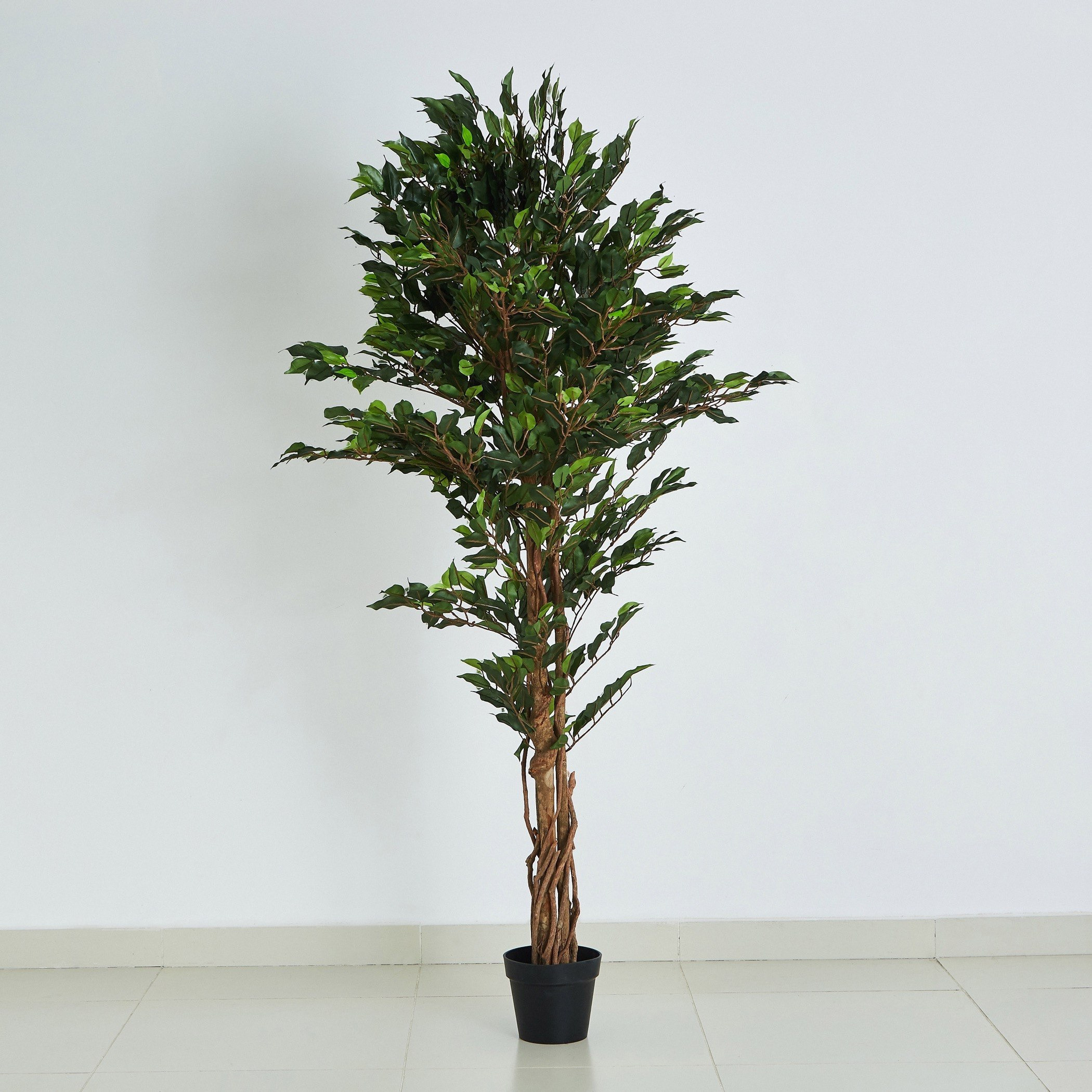 شجرة فيكس خشبية مع أصيص من سيارا - 180 سم-hbxdecorandfurnishings-homeaccessories-artificialflowersandplants-image-6