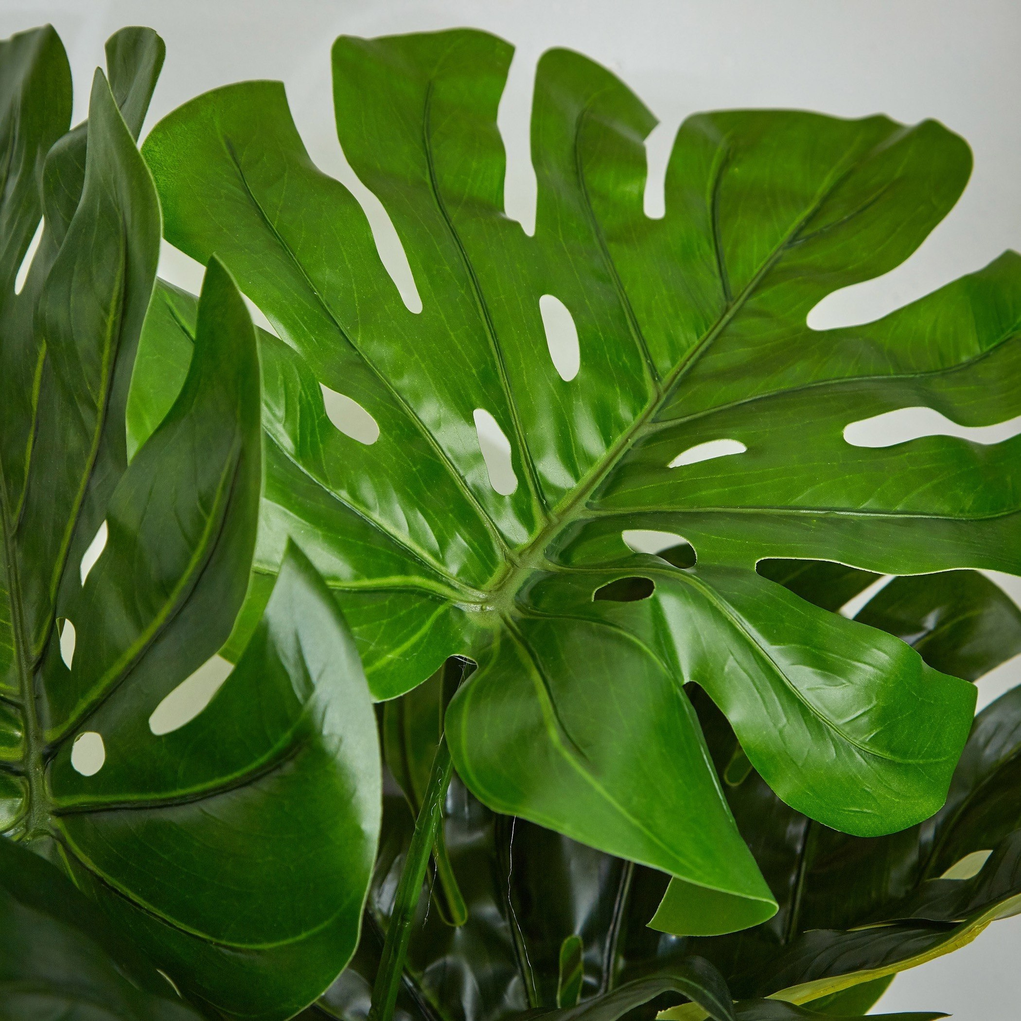 شجرة مونيستيرا في إصيص من سيارا - 90 سم-hbxdecorandfurnishings-homeaccessories-artificialflowersandplants-image-3