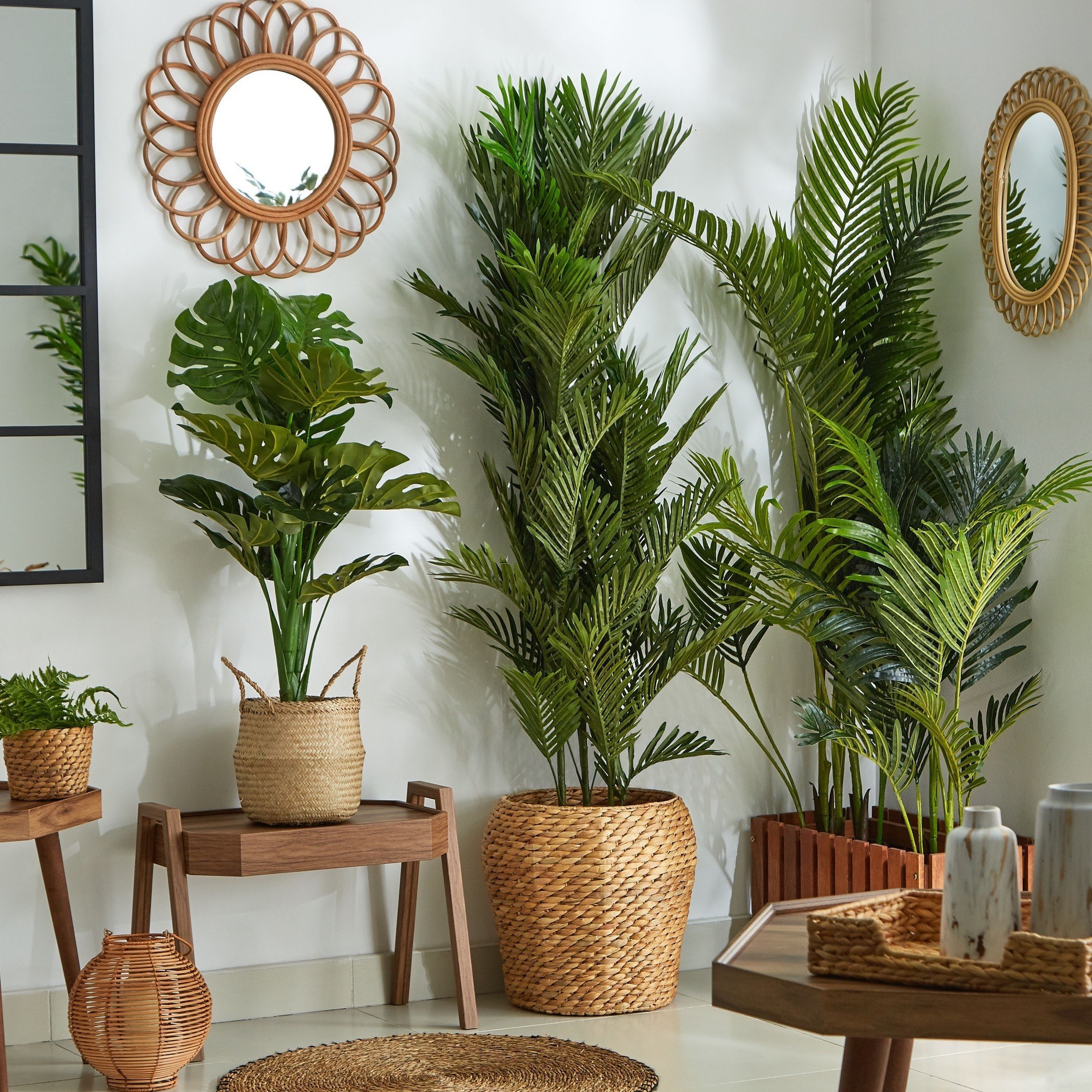 شجرة مونيستيرا في إصيص من سيارا - 90 سم-hbxdecorandfurnishings-homeaccessories-artificialflowersandplants-image-4
