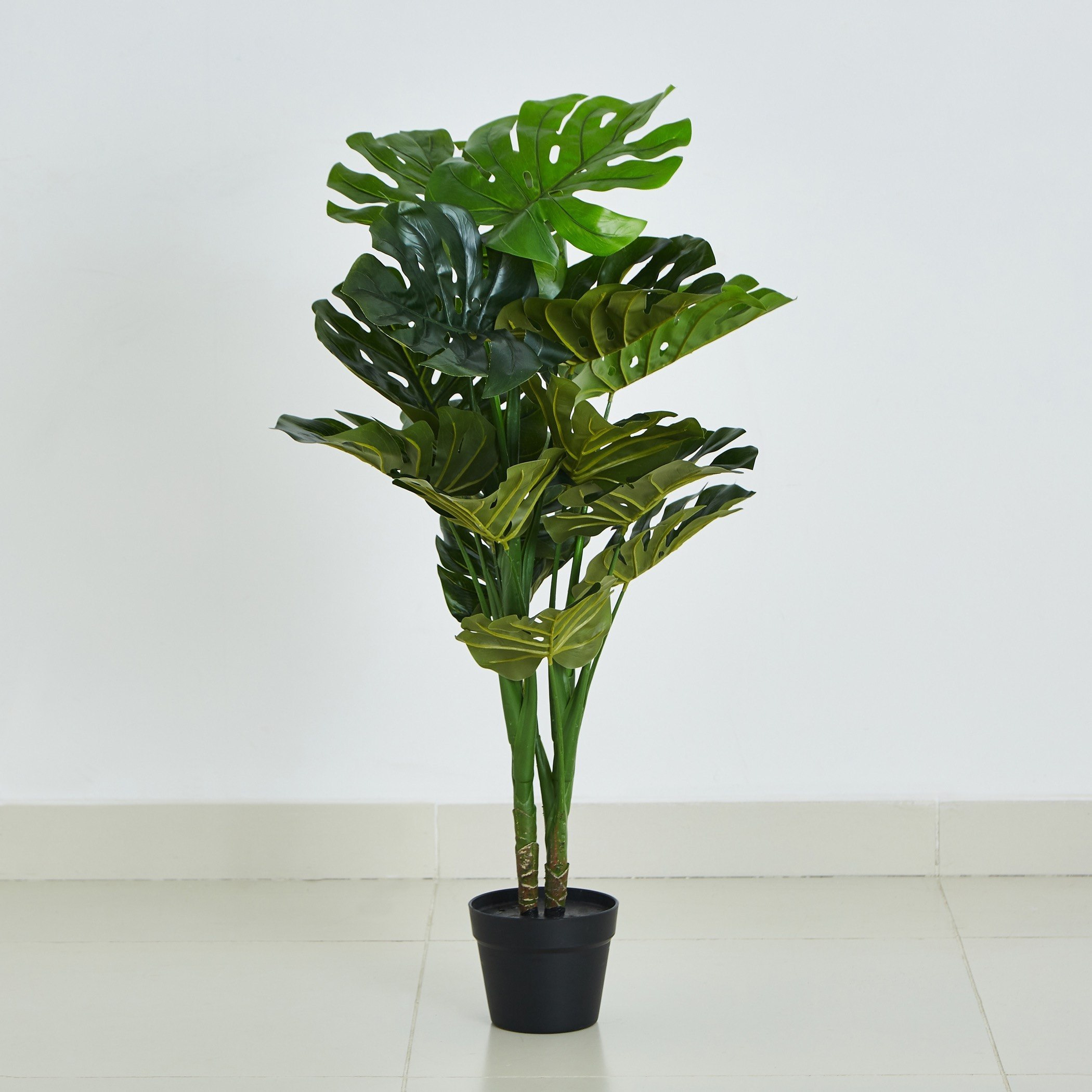 شجرة مونيستيرا في إصيص من سيارا - 90 سم-hbxdecorandfurnishings-homeaccessories-artificialflowersandplants-image-5