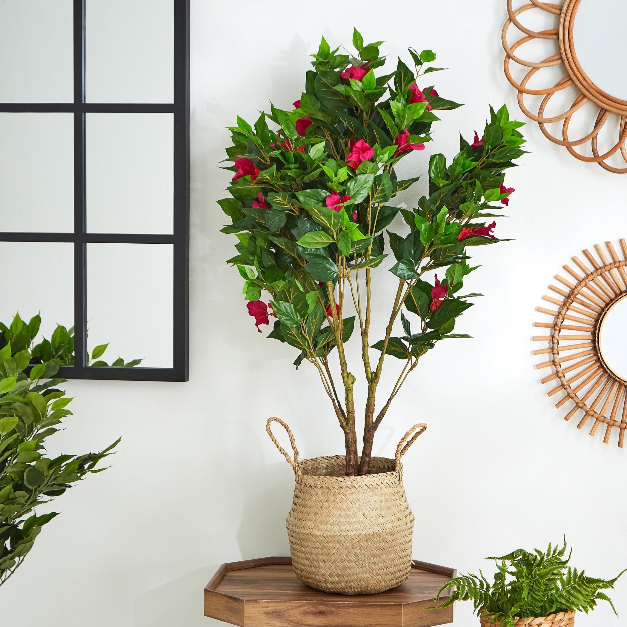 شجرة بوجينفيلايا في إصيص من سيارا - 100 سم-hbxdecorandfurnishings-homeaccessories-artificialflowersandplants-image-2