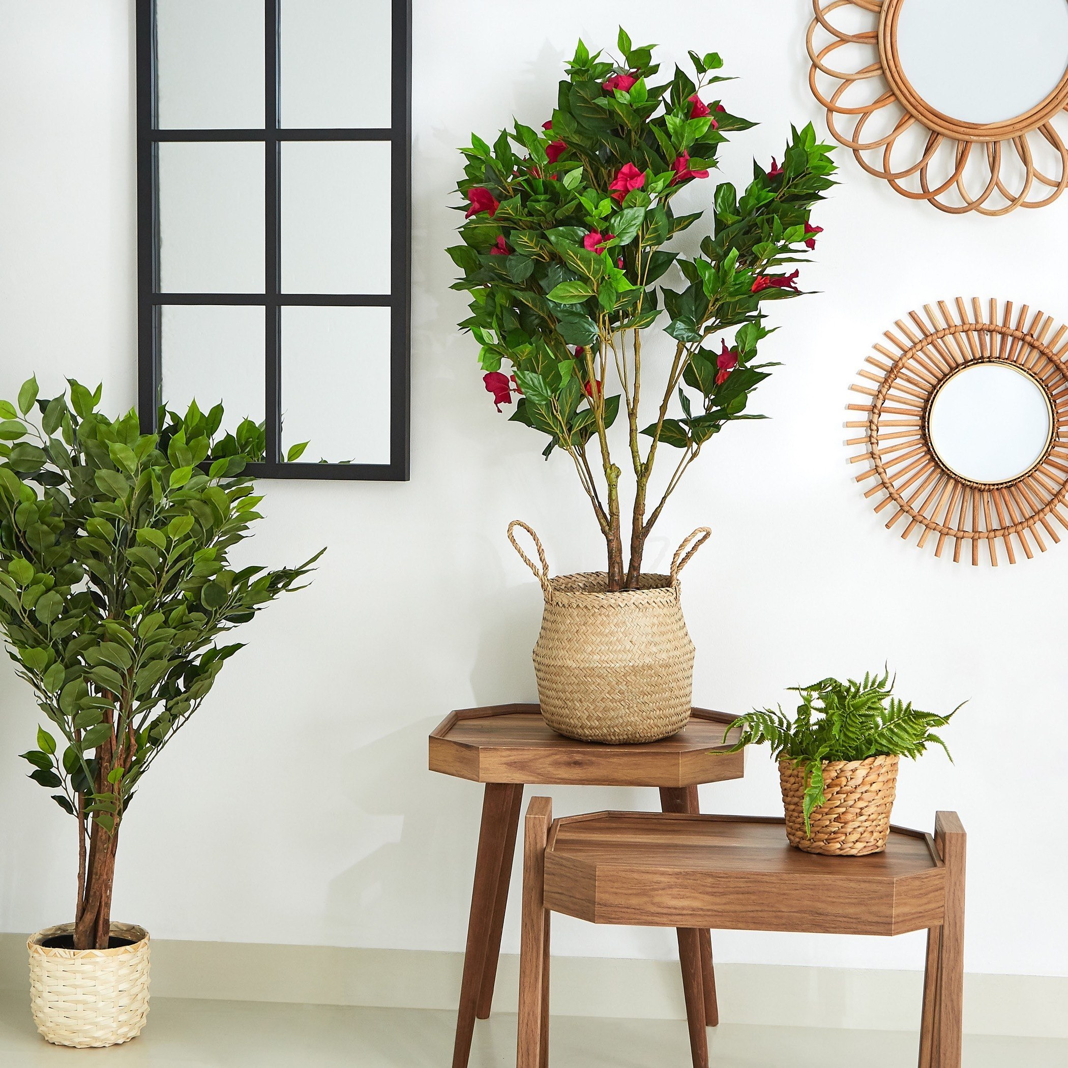شجرة بوجينفيلايا في إصيص من سيارا - 100 سم-hbxdecorandfurnishings-homeaccessories-artificialflowersandplants-image-4