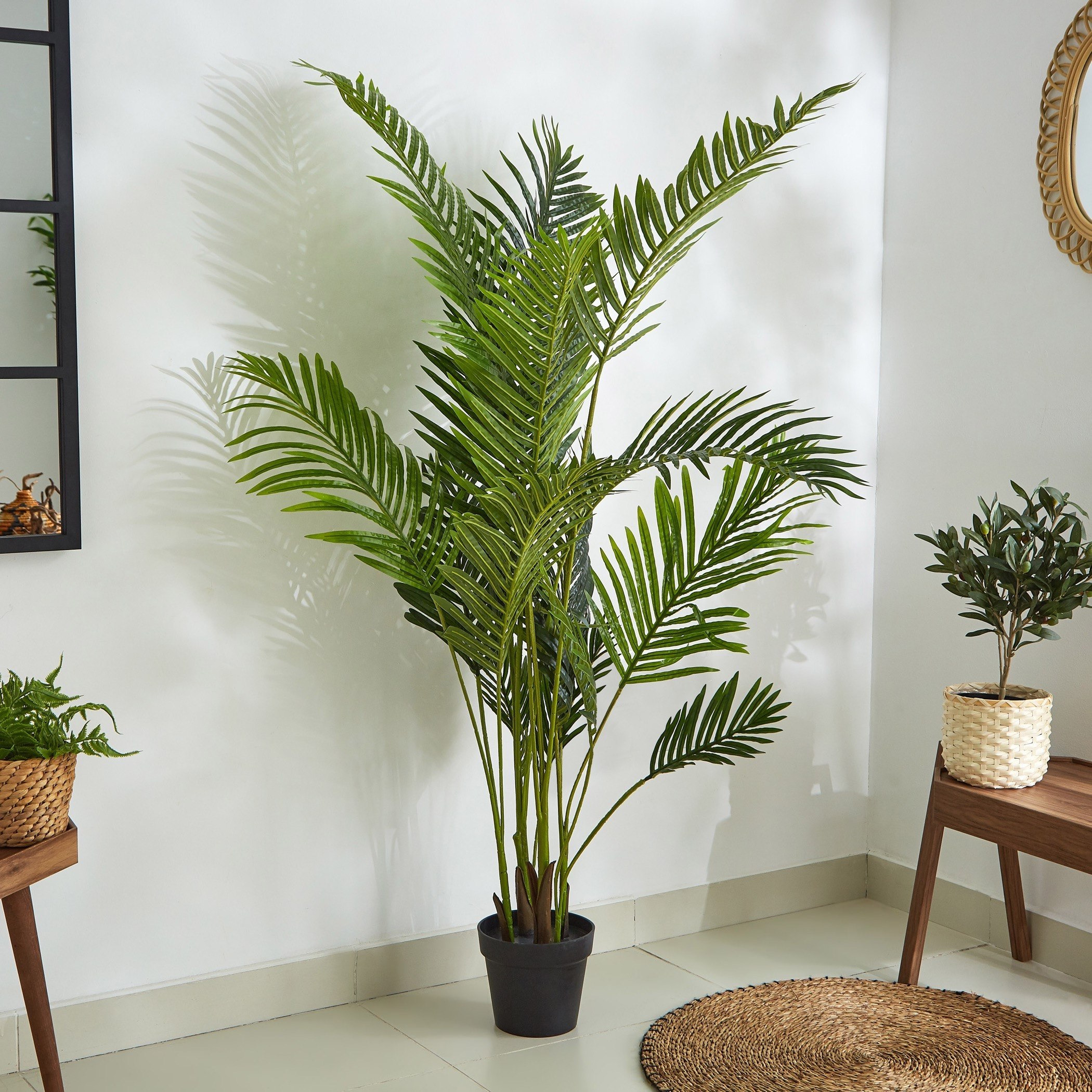 نخلة أريكا في إصيص من كيارا - 160 سم-hbxdecorandfurnishings-homeaccessories-artificialflowersandplants-image-1