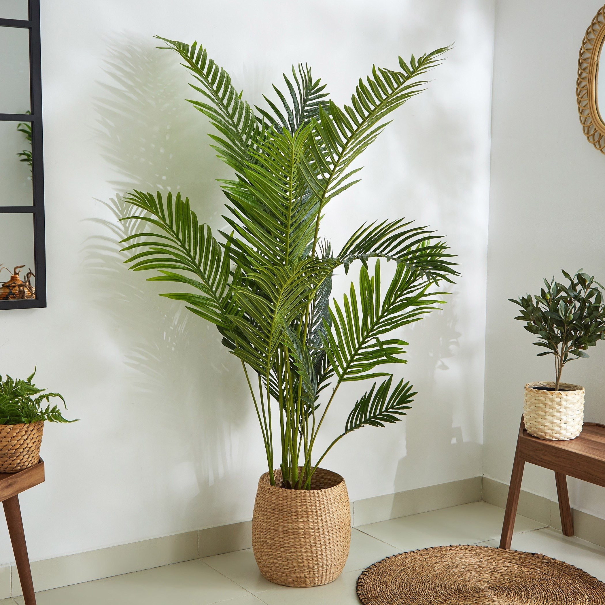 نخلة أريكا في إصيص من كيارا - 160 سم-hbxdecorandfurnishings-homeaccessories-artificialflowersandplants-image-2