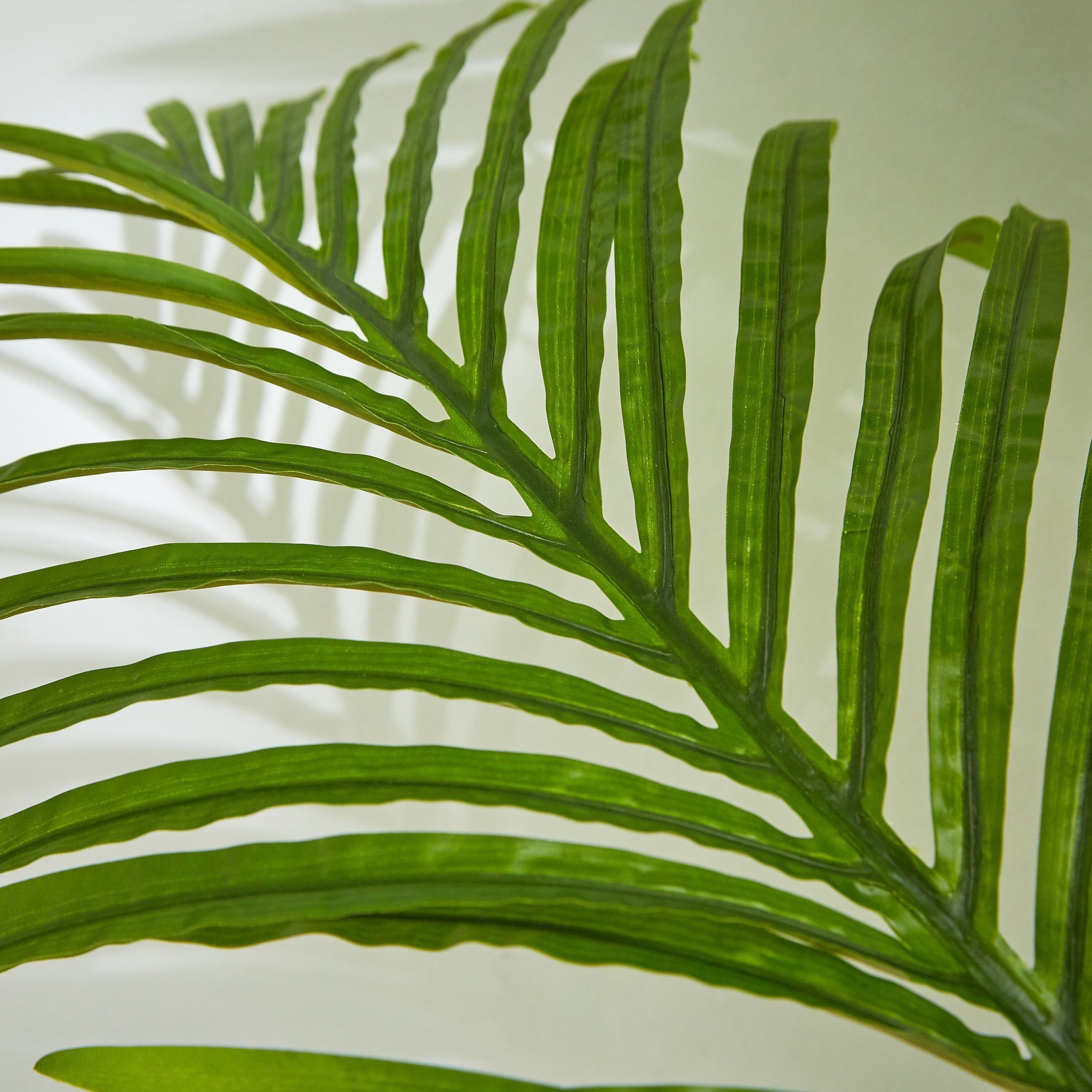 نخلة أريكا في إصيص من كيارا - 160 سم-hbxdecorandfurnishings-homeaccessories-artificialflowersandplants-image-3