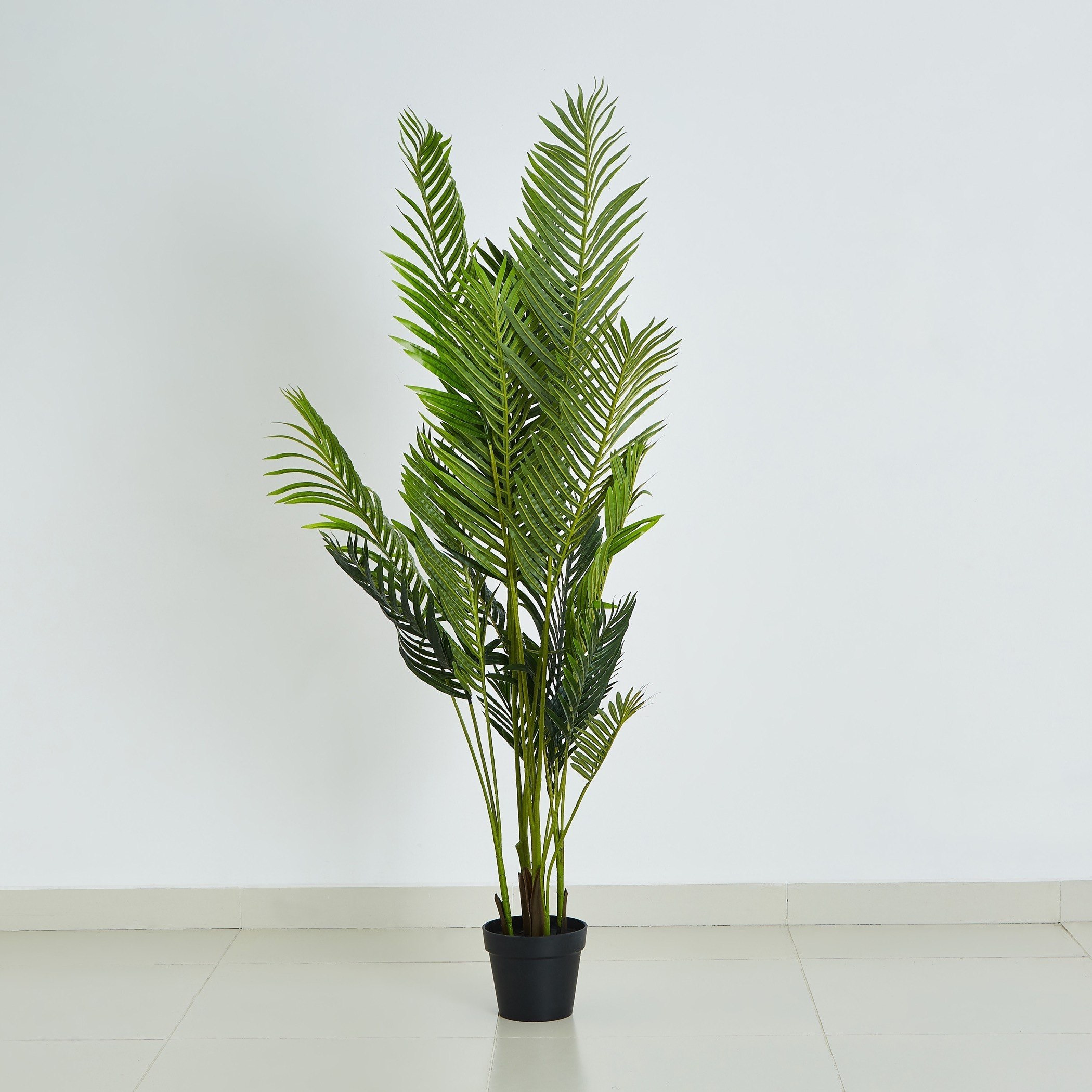 نخلة أريكا في إصيص من كيارا - 160 سم-hbxdecorandfurnishings-homeaccessories-artificialflowersandplants-image-5