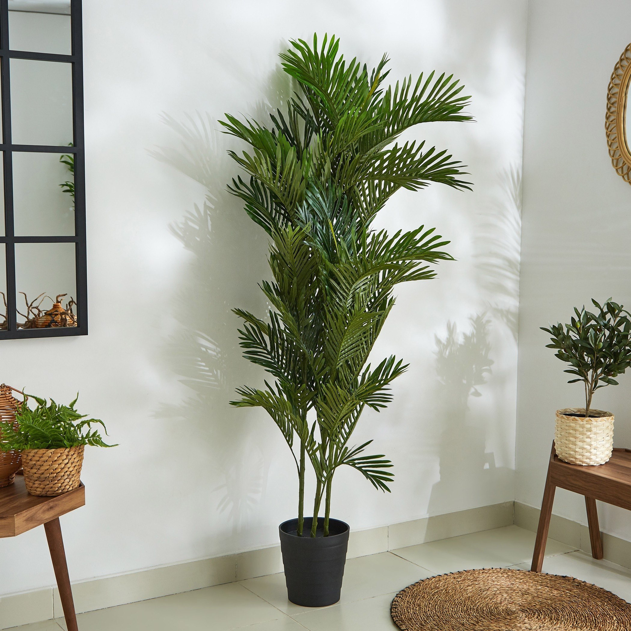 نخلة صغيرة مع إصيص من سيارا - 180 سم-hbxdecorandfurnishings-homeaccessories-artificialflowersandplants-image-1