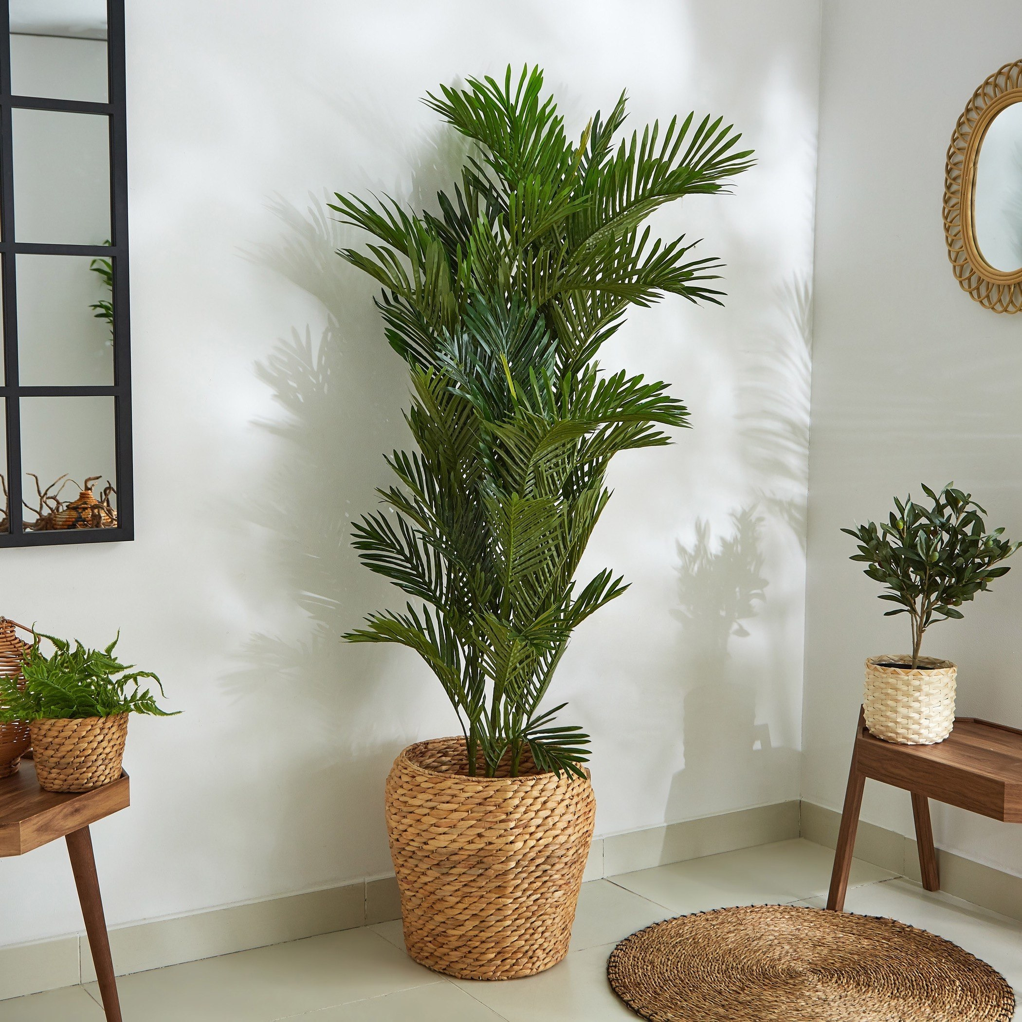 نخلة صغيرة مع إصيص من سيارا - 180 سم-hbxdecorandfurnishings-homeaccessories-artificialflowersandplants-image-2