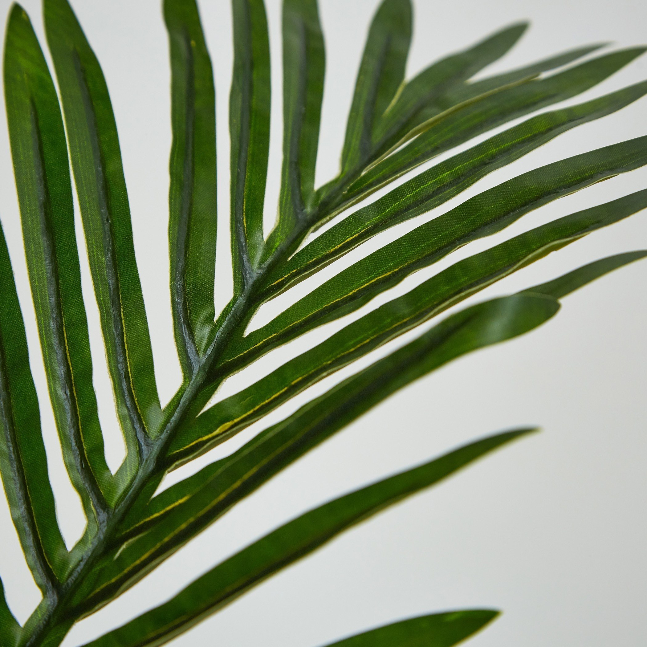 نخلة صغيرة مع إصيص من سيارا - 180 سم-hbxdecorandfurnishings-homeaccessories-artificialflowersandplants-image-3