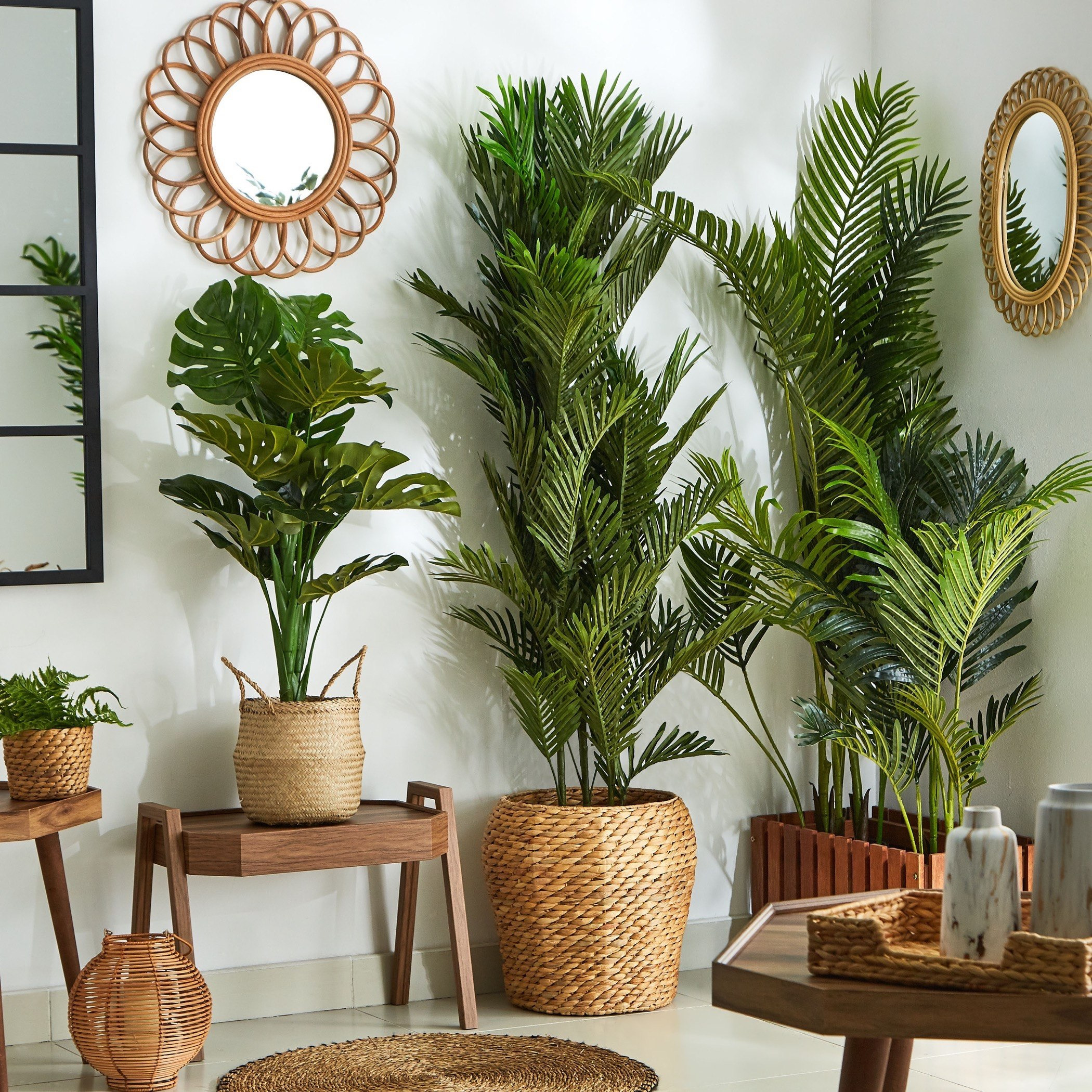 نخلة صغيرة مع إصيص من سيارا - 180 سم-hbxdecorandfurnishings-homeaccessories-artificialflowersandplants-image-4