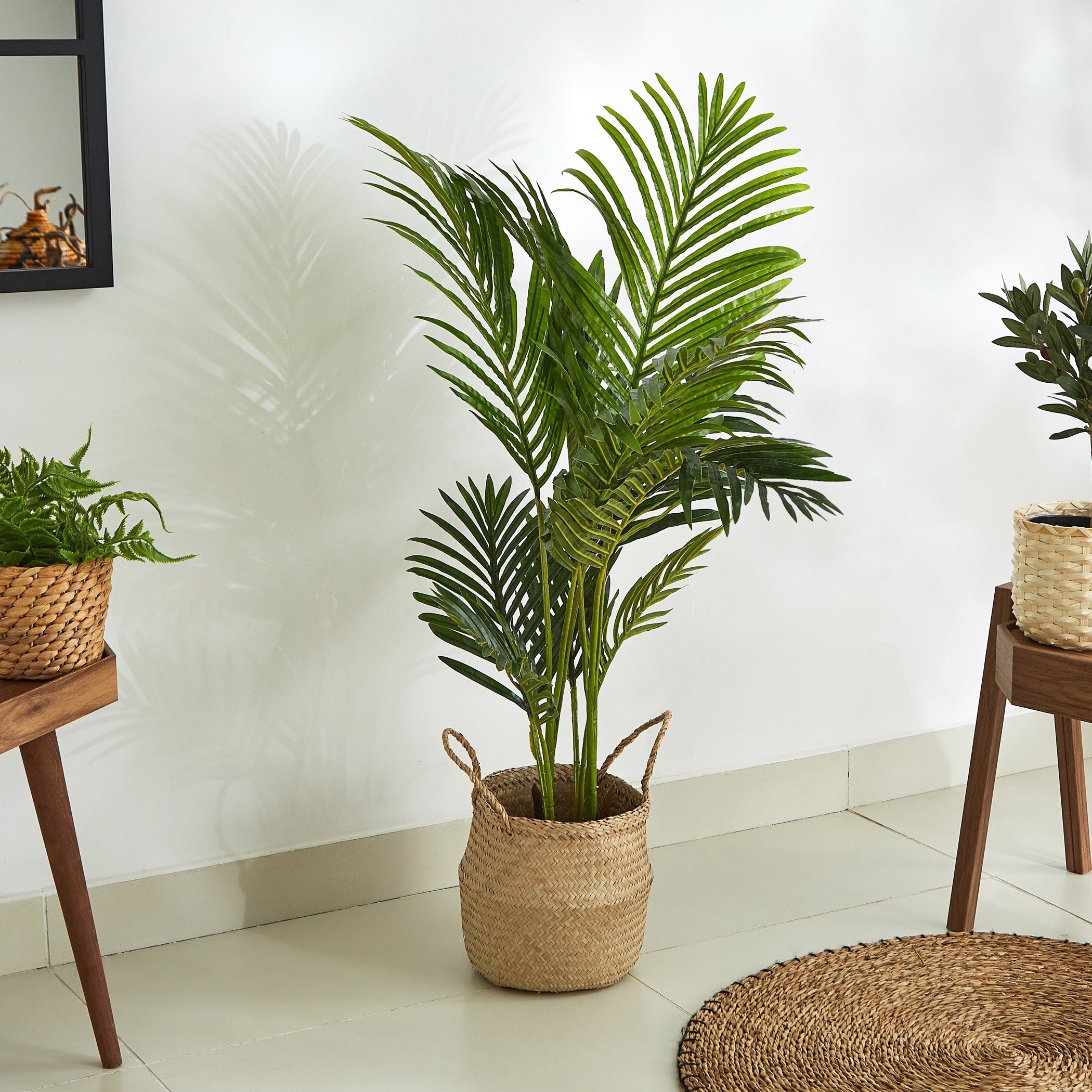 نخلة أريكا بإصيص من كيارا - 100 سم-hbxdecorandfurnishings-homeaccessories-artificialflowersandplants-image-2
