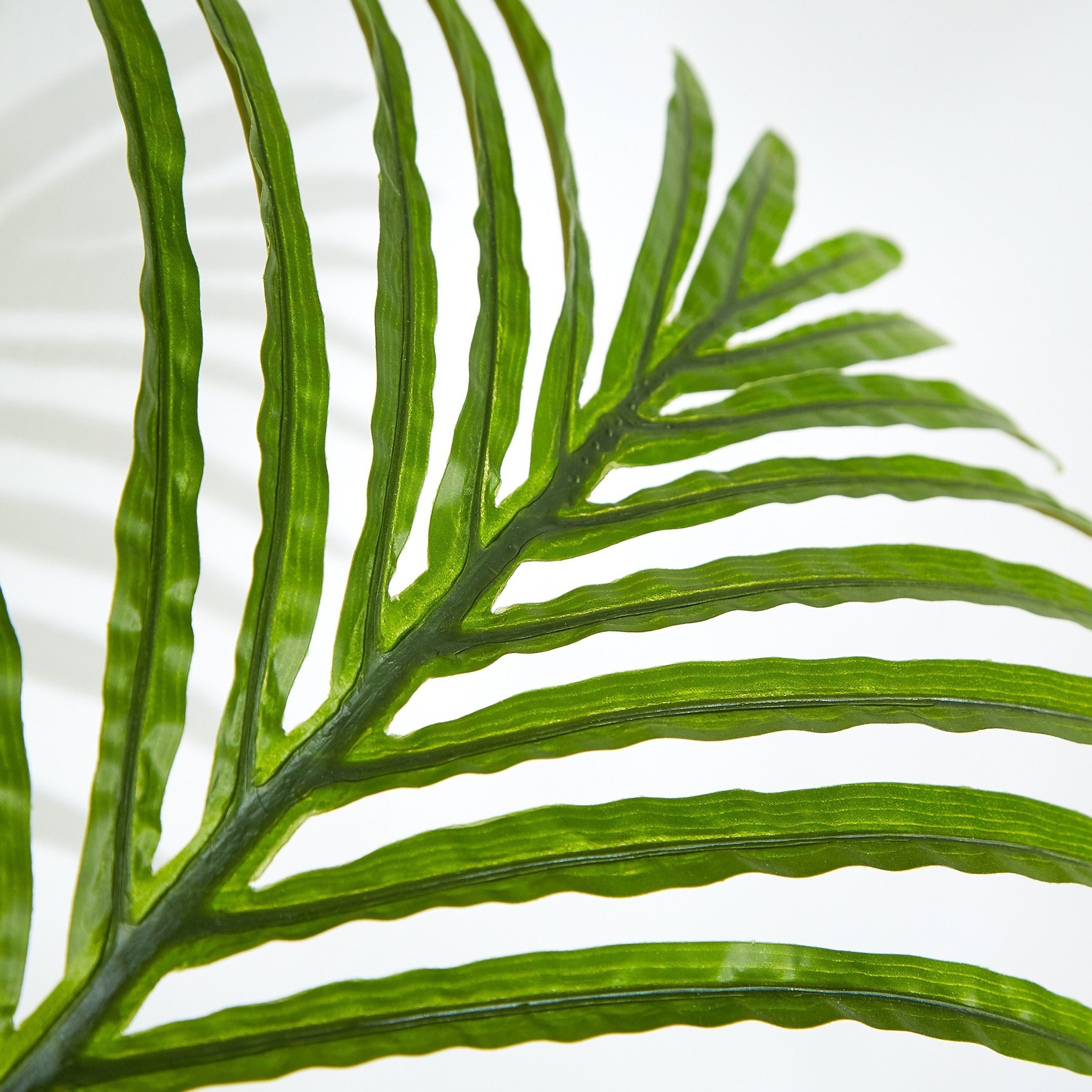 نخلة أريكا بإصيص من كيارا - 100 سم-hbxdecorandfurnishings-homeaccessories-artificialflowersandplants-image-3