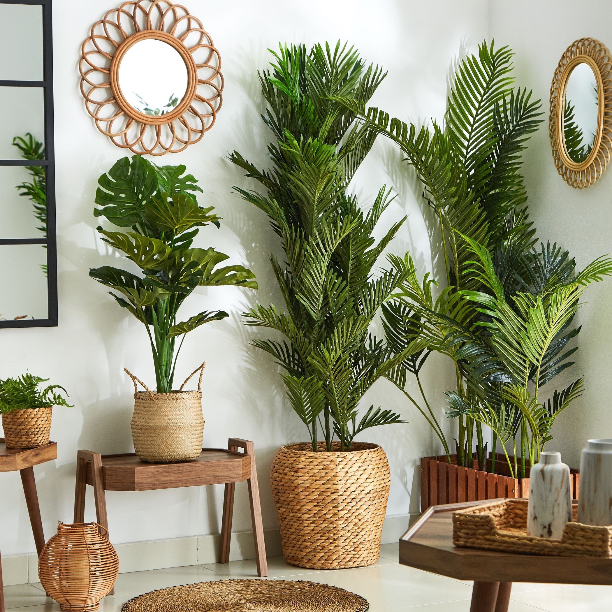 نخلة أريكا بإصيص من كيارا - 100 سم-hbxdecorandfurnishings-homeaccessories-artificialflowersandplants-image-4