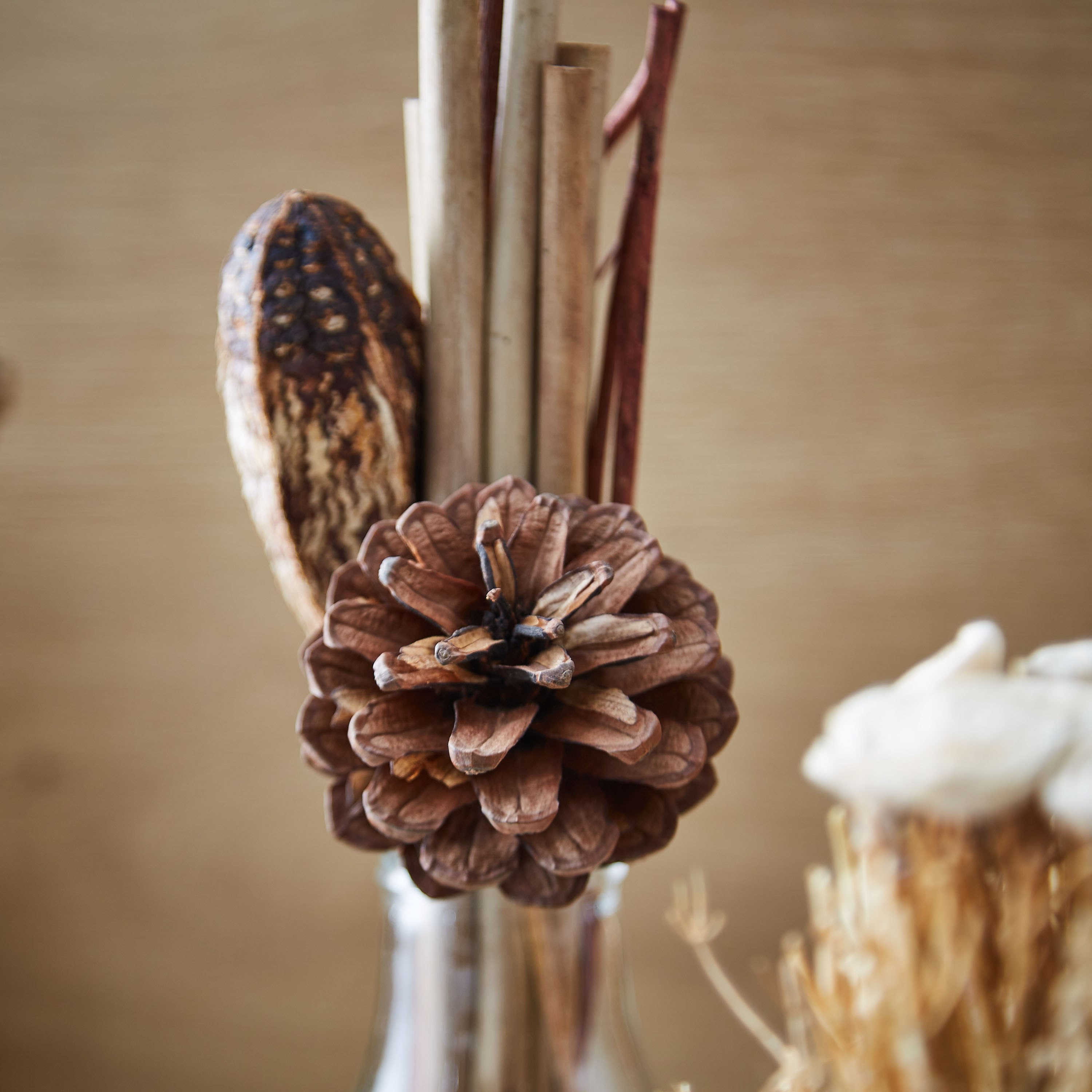 نبات ليفيا صناعي في قارورة زجاجية - 30 سم-hbxdecorandfurnishings-homeaccessories-artificialflowersandplants-image-2