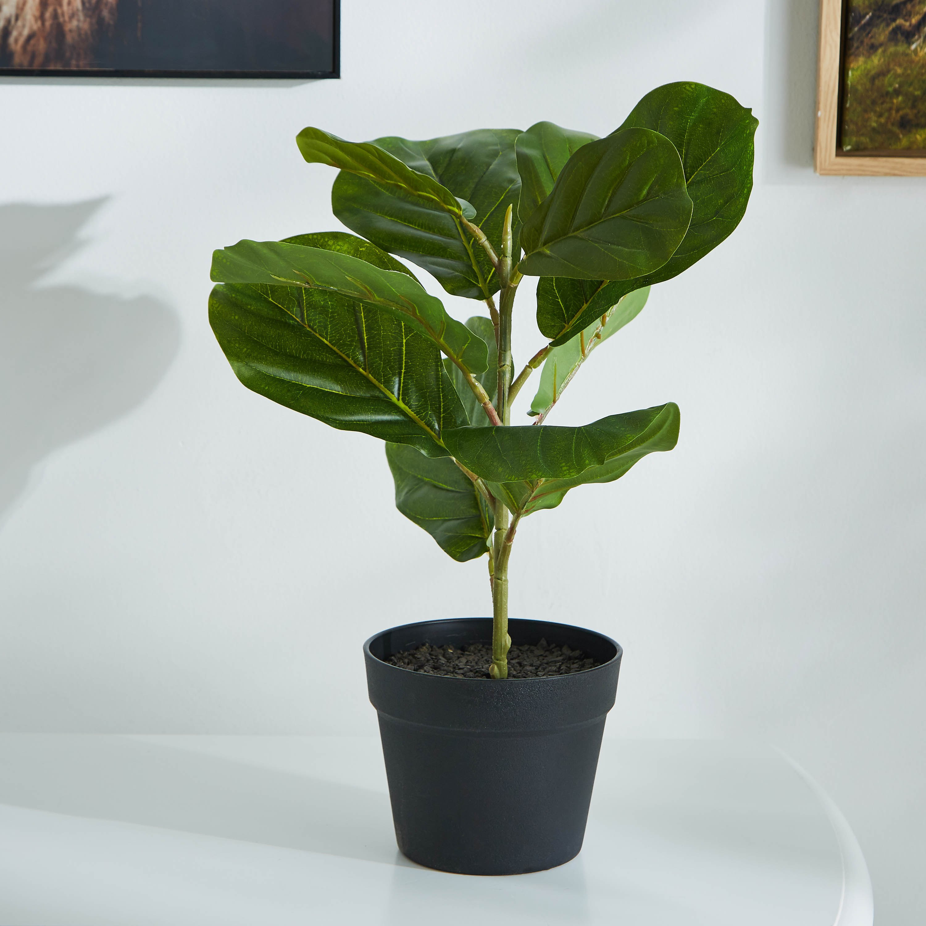نبتة اصطناعية في إصيص من ليفيا - 45 سم-hbxdecorandfurnishings-homeaccessories-artificialflowersandplants-image-1