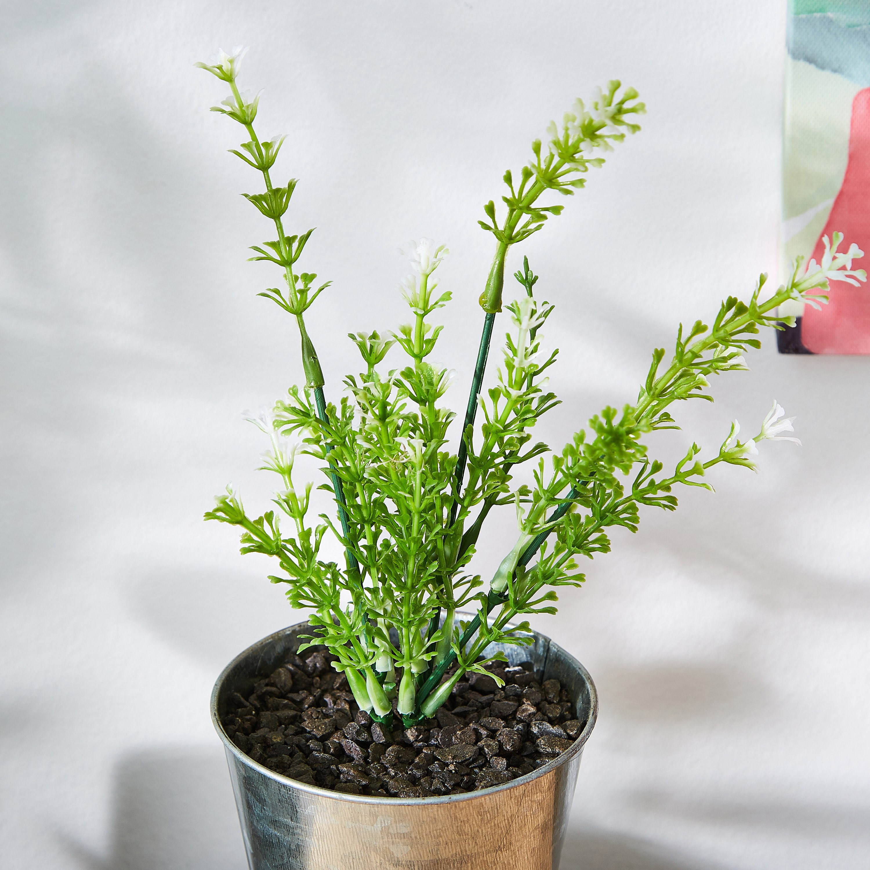 شجيرة خضراء في إصيص من ليفا-hbxdecorandfurnishings-homeaccessories-artificialflowersandplants-image-2