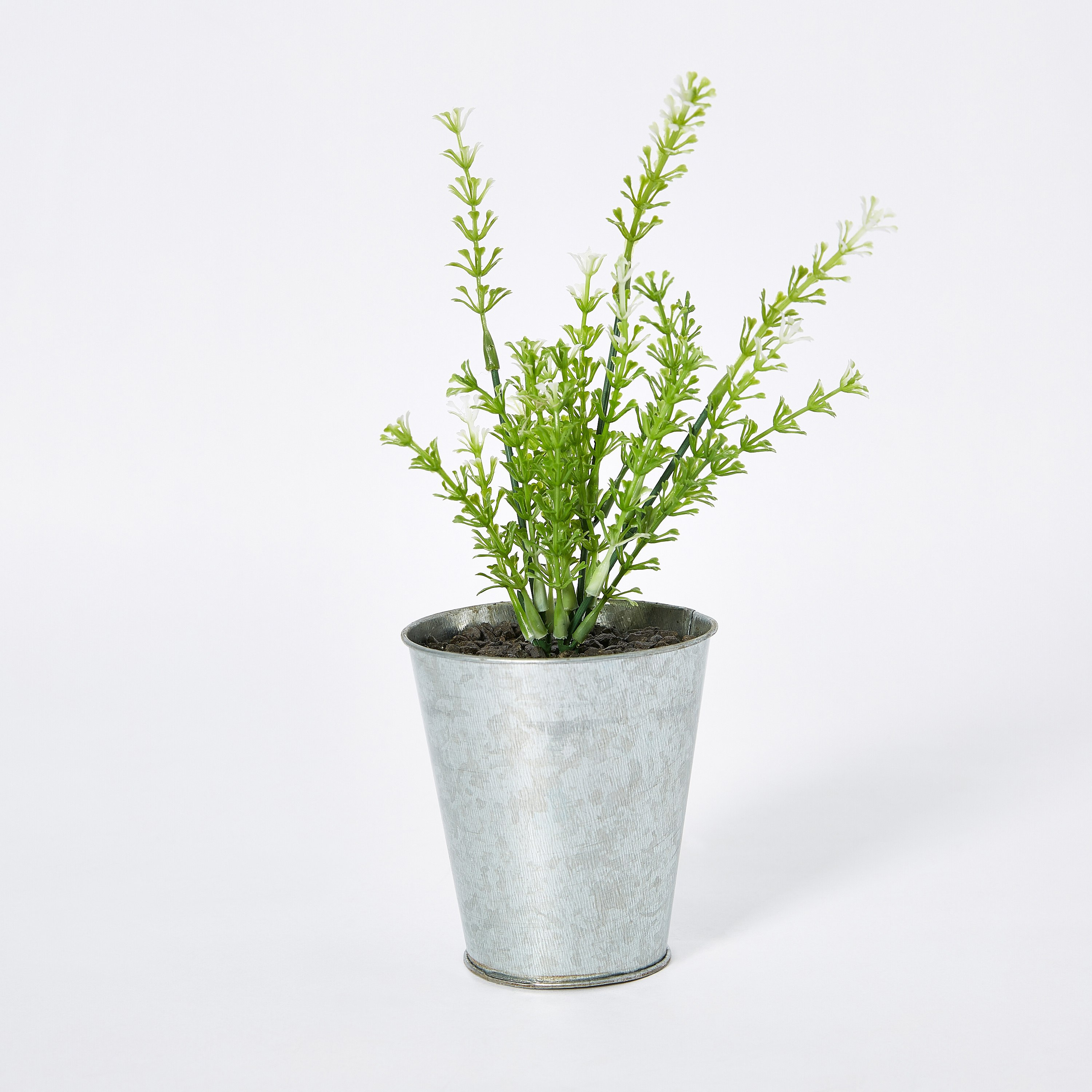 شجيرة خضراء في إصيص من ليفا-hbxdecorandfurnishings-homeaccessories-artificialflowersandplants-image-4