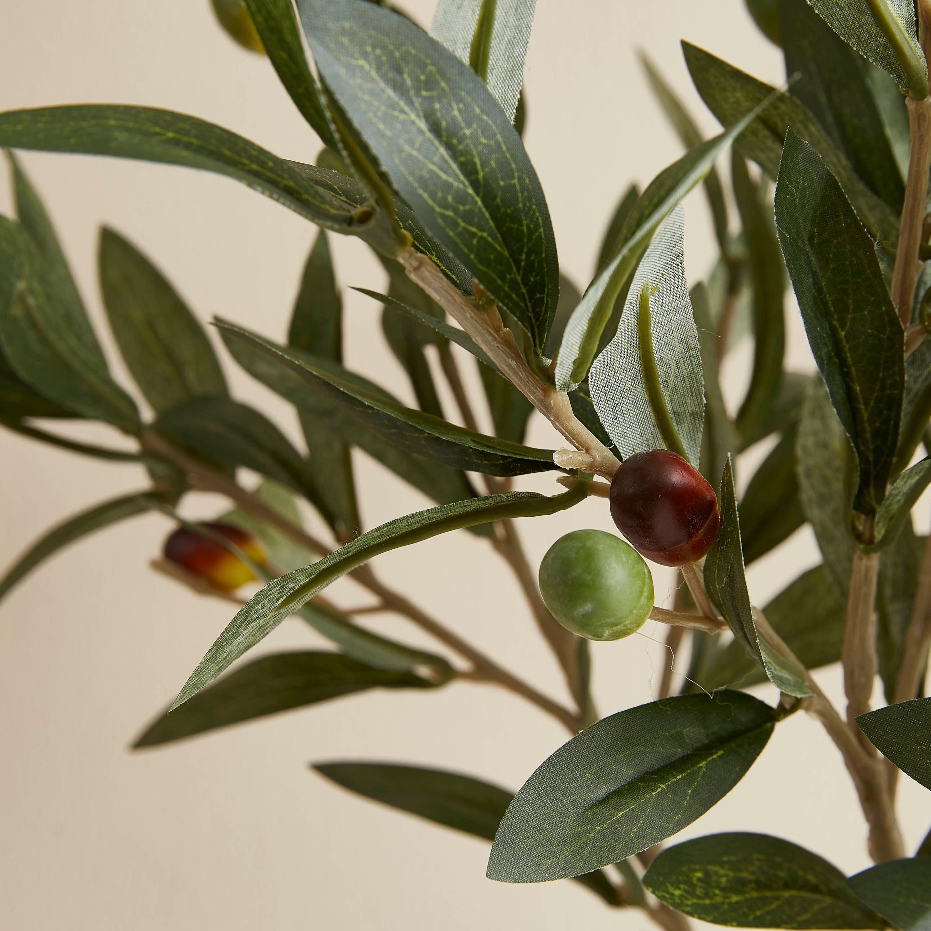 نبتة زيتون في إصيص بلاستيك من ليفيا - 55 سم-hbxdecorandfurnishings-homeaccessories-artificialflowersandplants-image-2