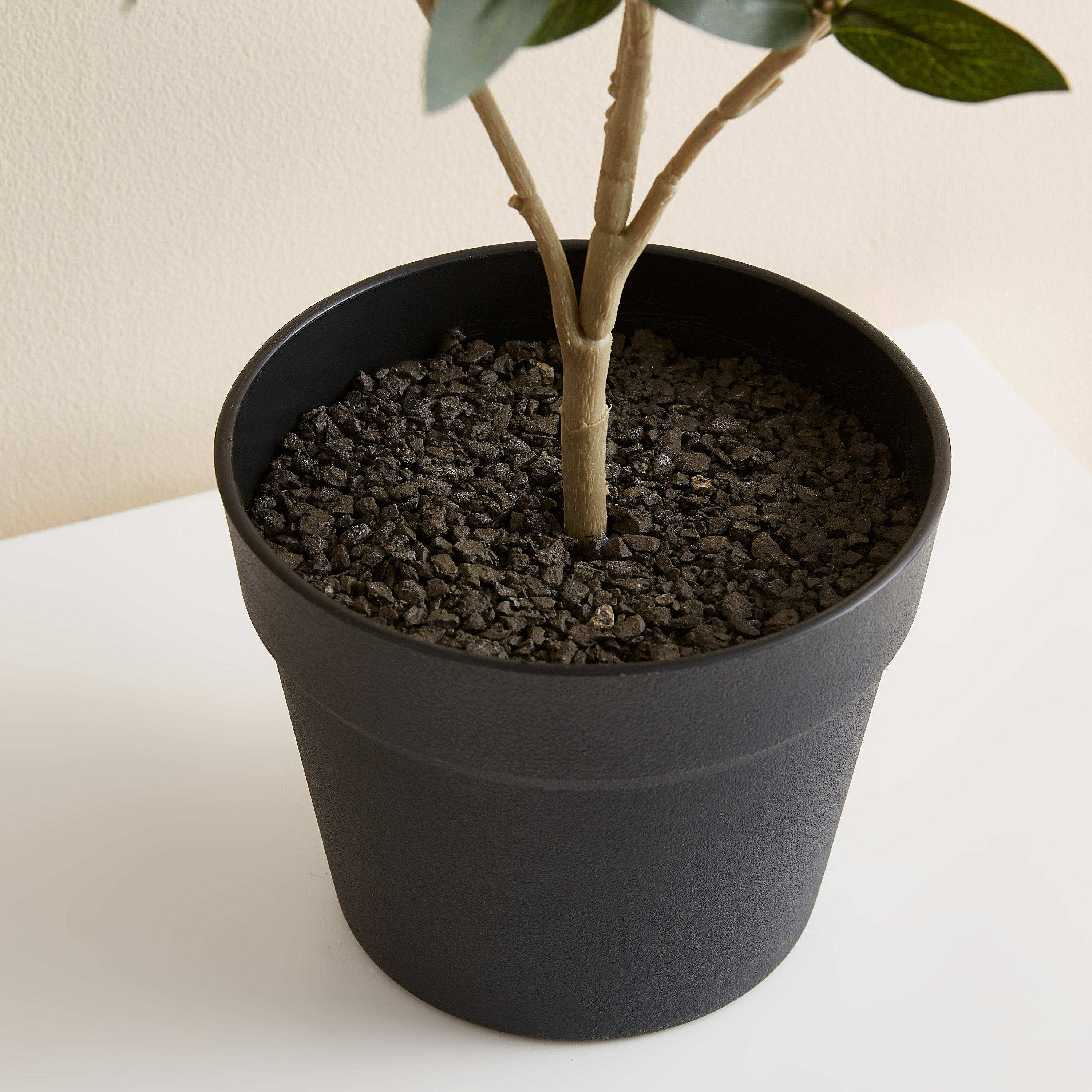 نبتة زيتون في إصيص بلاستيك من ليفيا - 55 سم-hbxdecorandfurnishings-homeaccessories-artificialflowersandplants-image-3