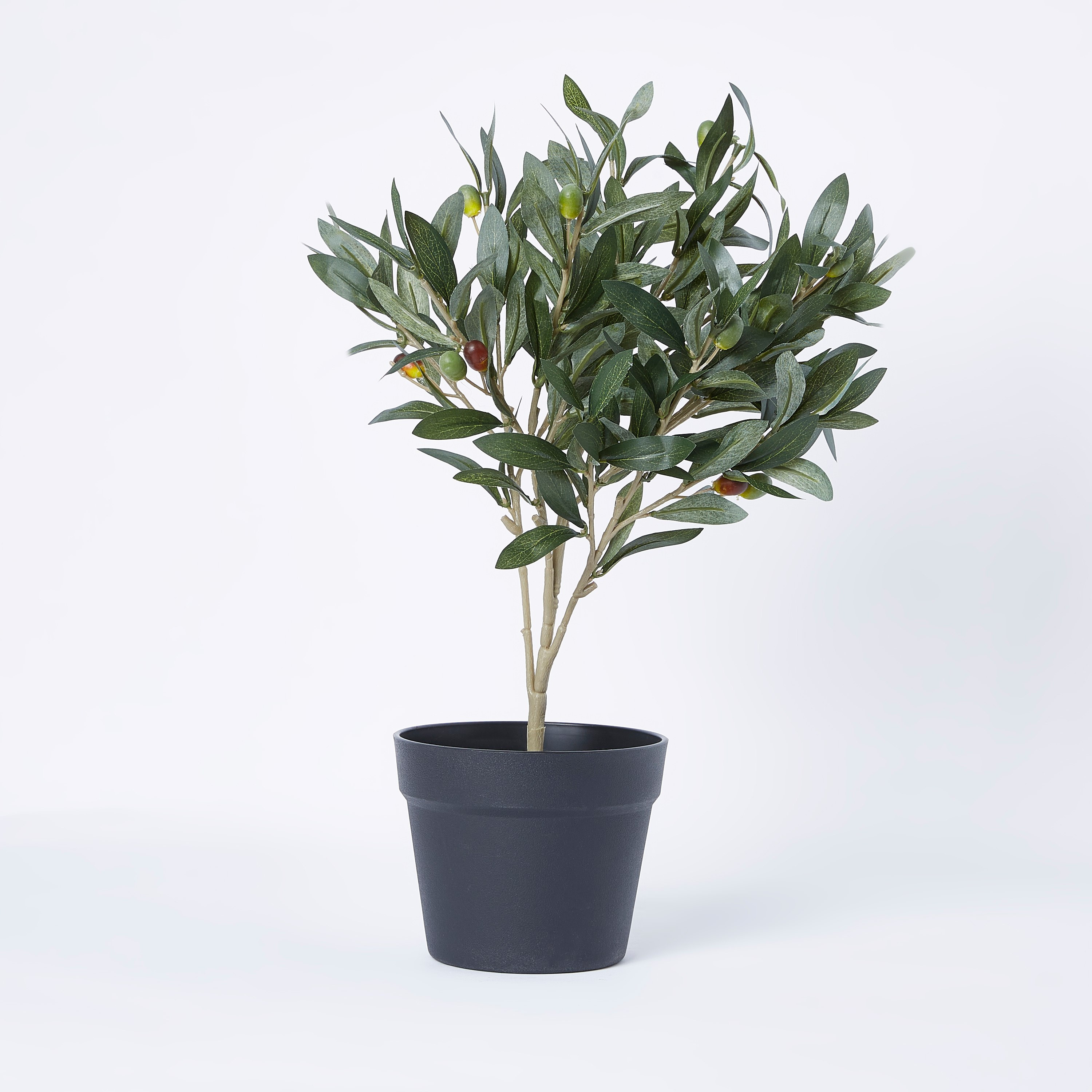 نبتة زيتون في إصيص بلاستيك من ليفيا - 55 سم-hbxdecorandfurnishings-homeaccessories-artificialflowersandplants-image-5