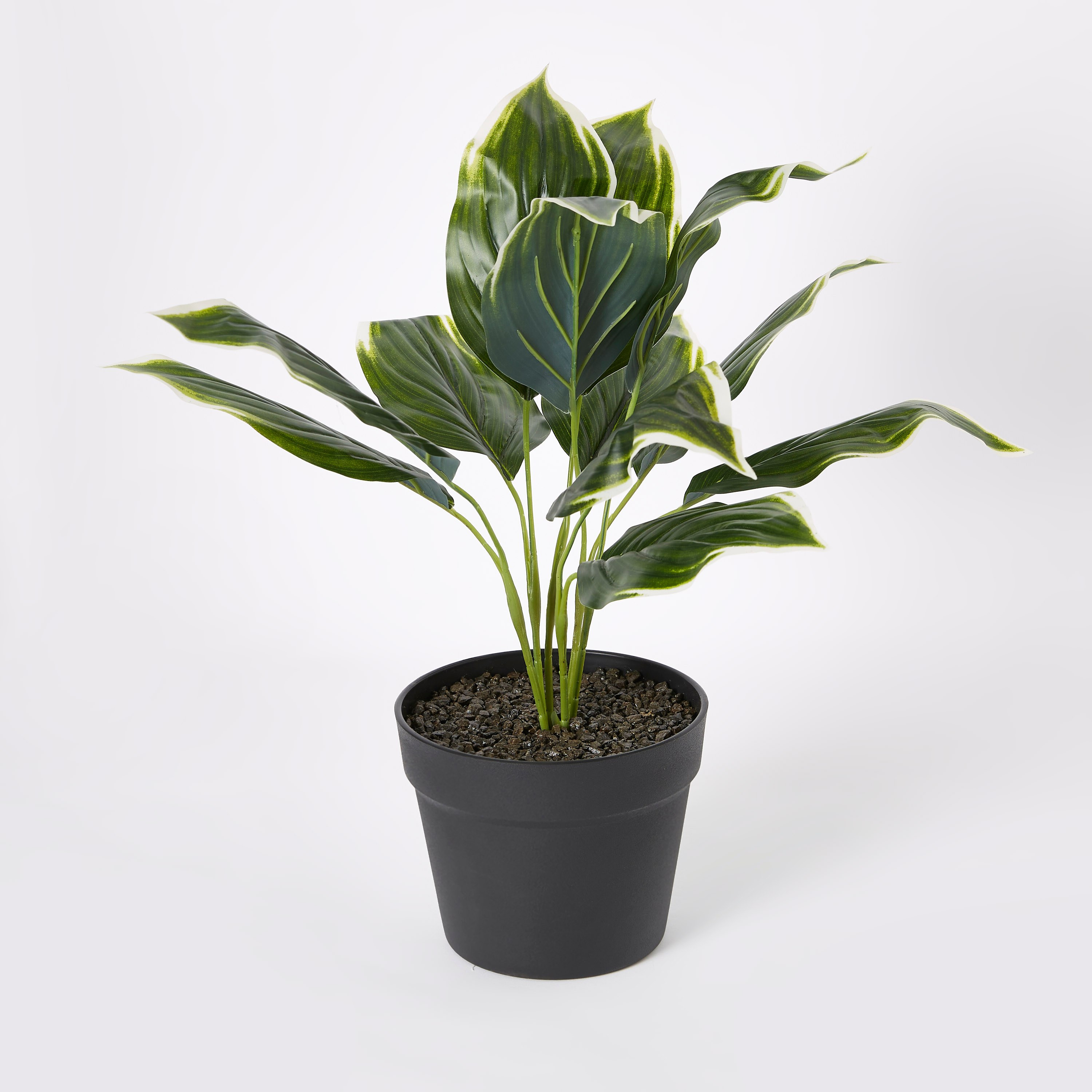 نبات متنوع في إناء من ليفيا - 55 سم-hbxdecorandfurnishings-homeaccessories-artificialflowersandplants-image-5