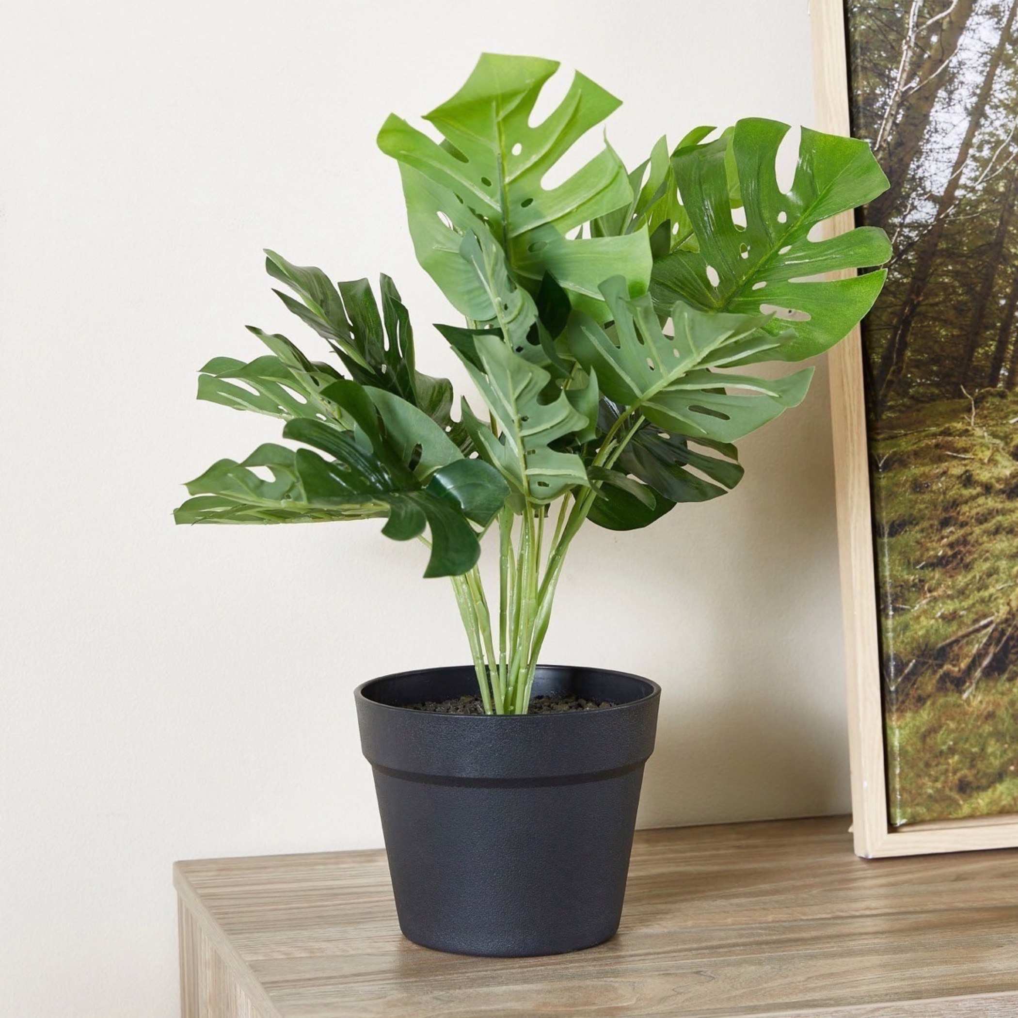 Livia Monstera Small Plant in Pot - 55 cm-hbxdecorandfurnishings-homeaccessories-artificialflowersandplants-image-1