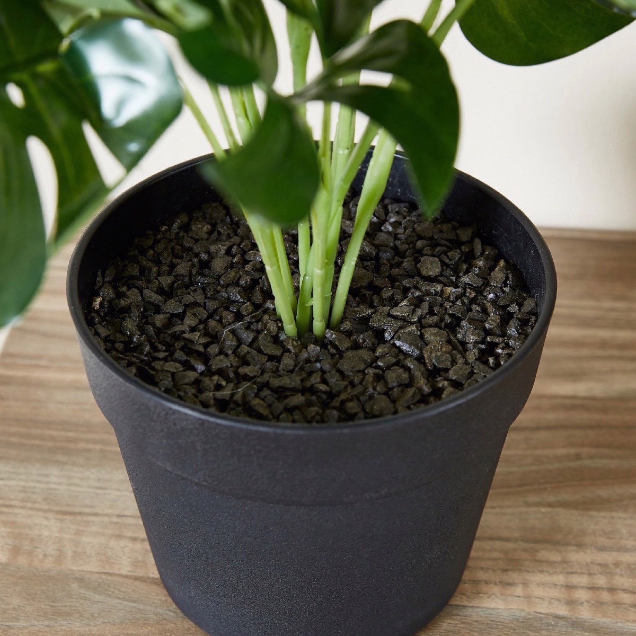 Livia Monstera Small Plant in Pot - 55 cm-hbxdecorandfurnishings-homeaccessories-artificialflowersandplants-image-3